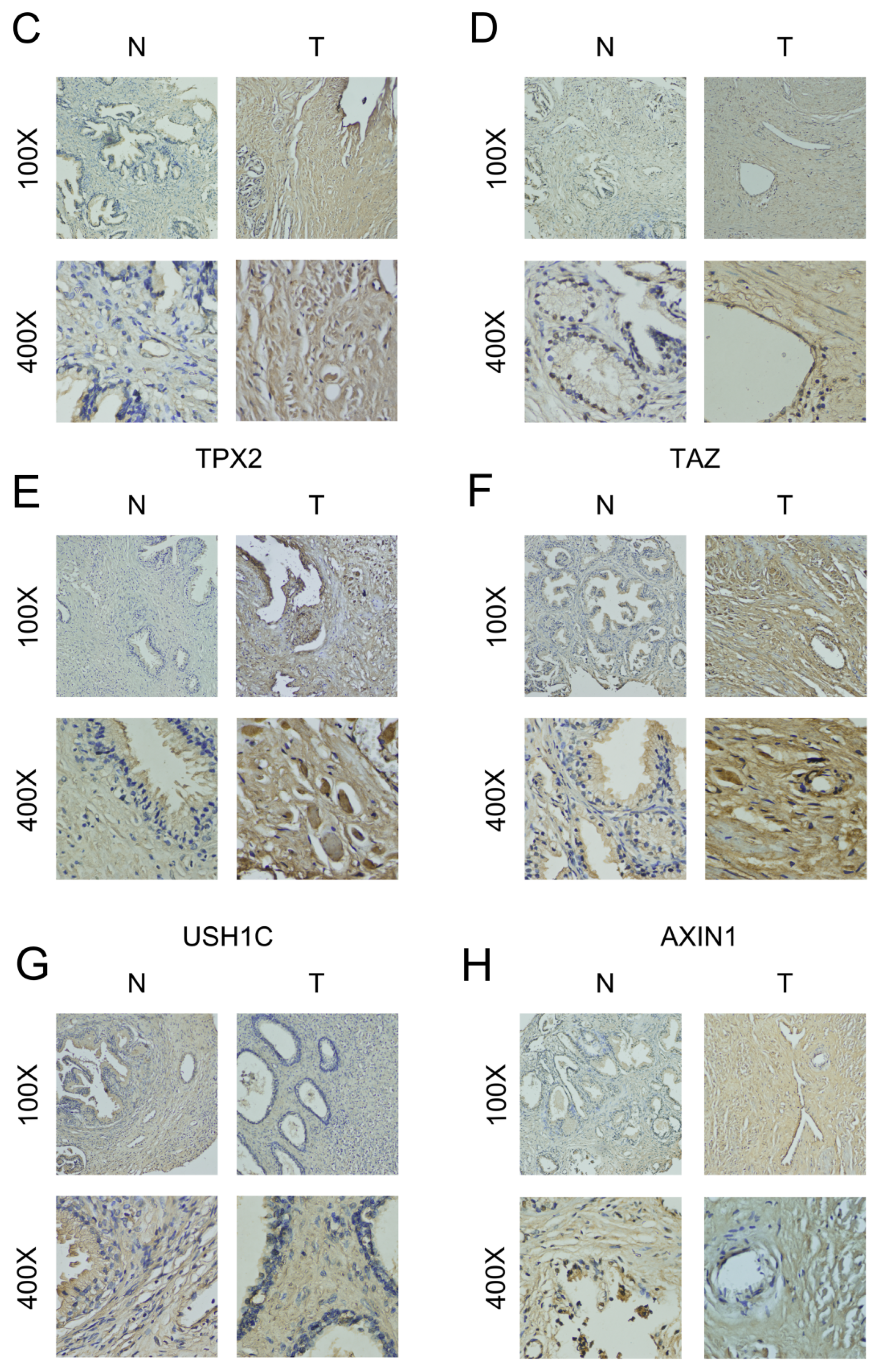 Ijms 24 05515 g007b Ijms 24 05515 g007b