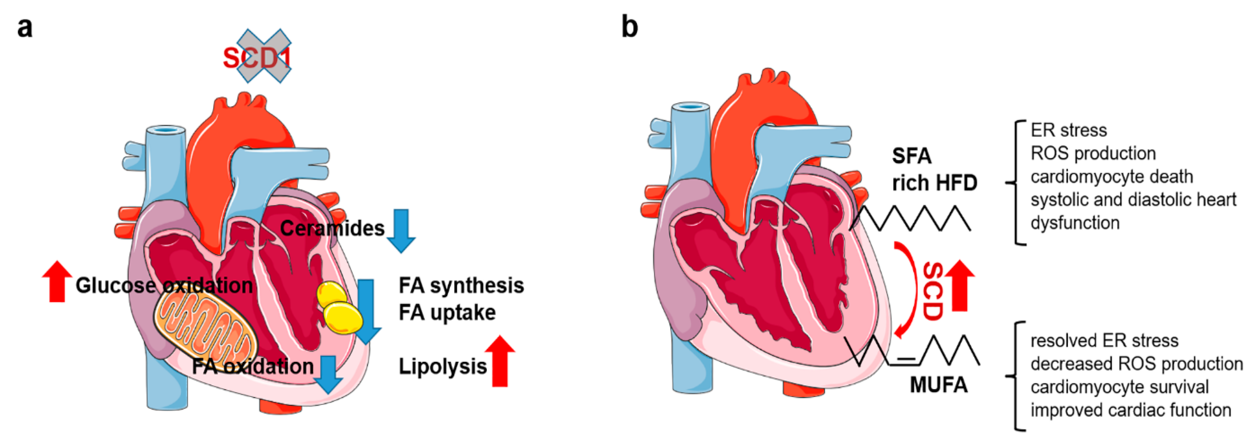 Ijms 24 05531 g001 Ijms 24 05531 g001