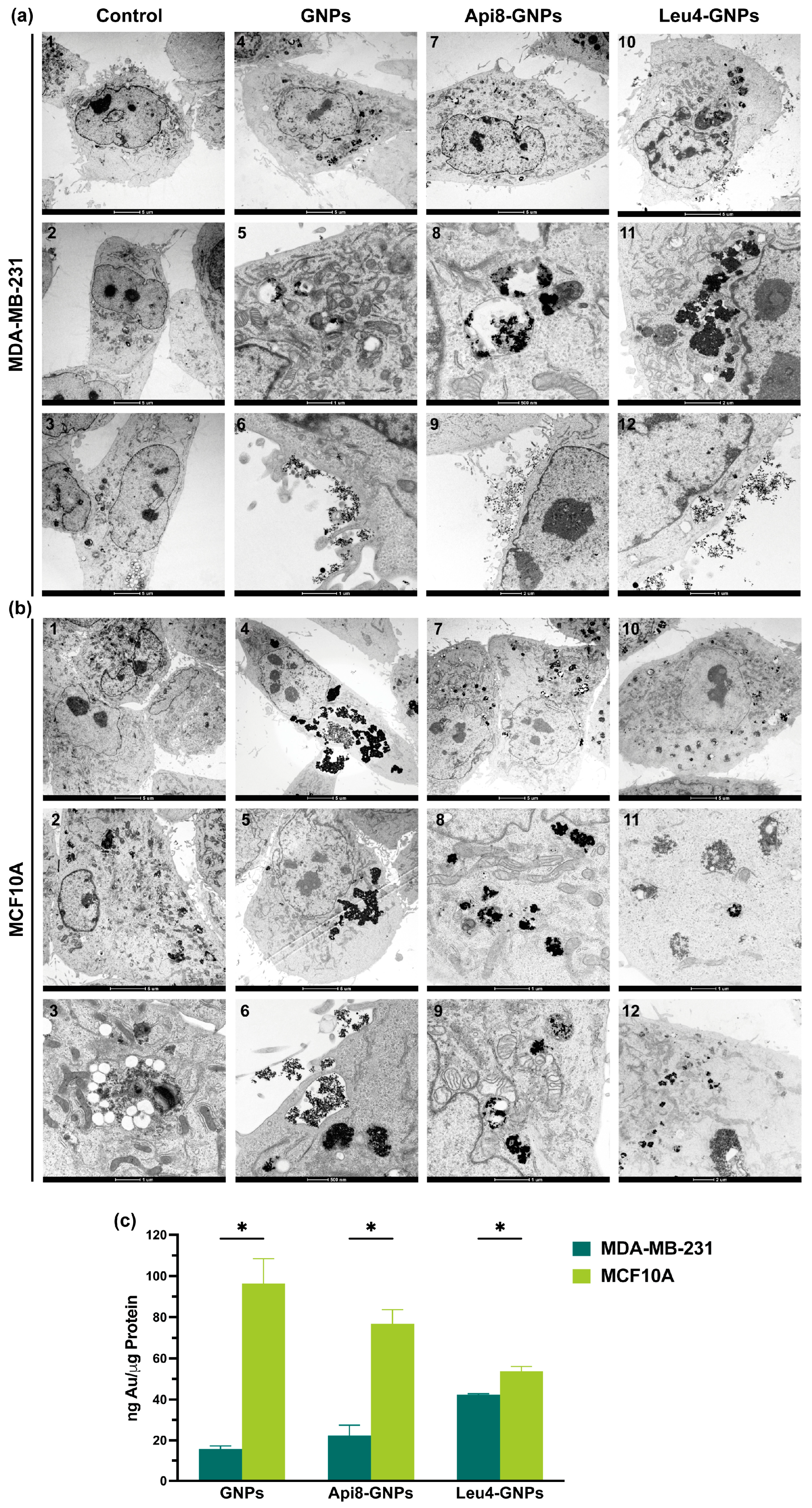 Ijms 24 05537 g006 Ijms 24 05537 g006