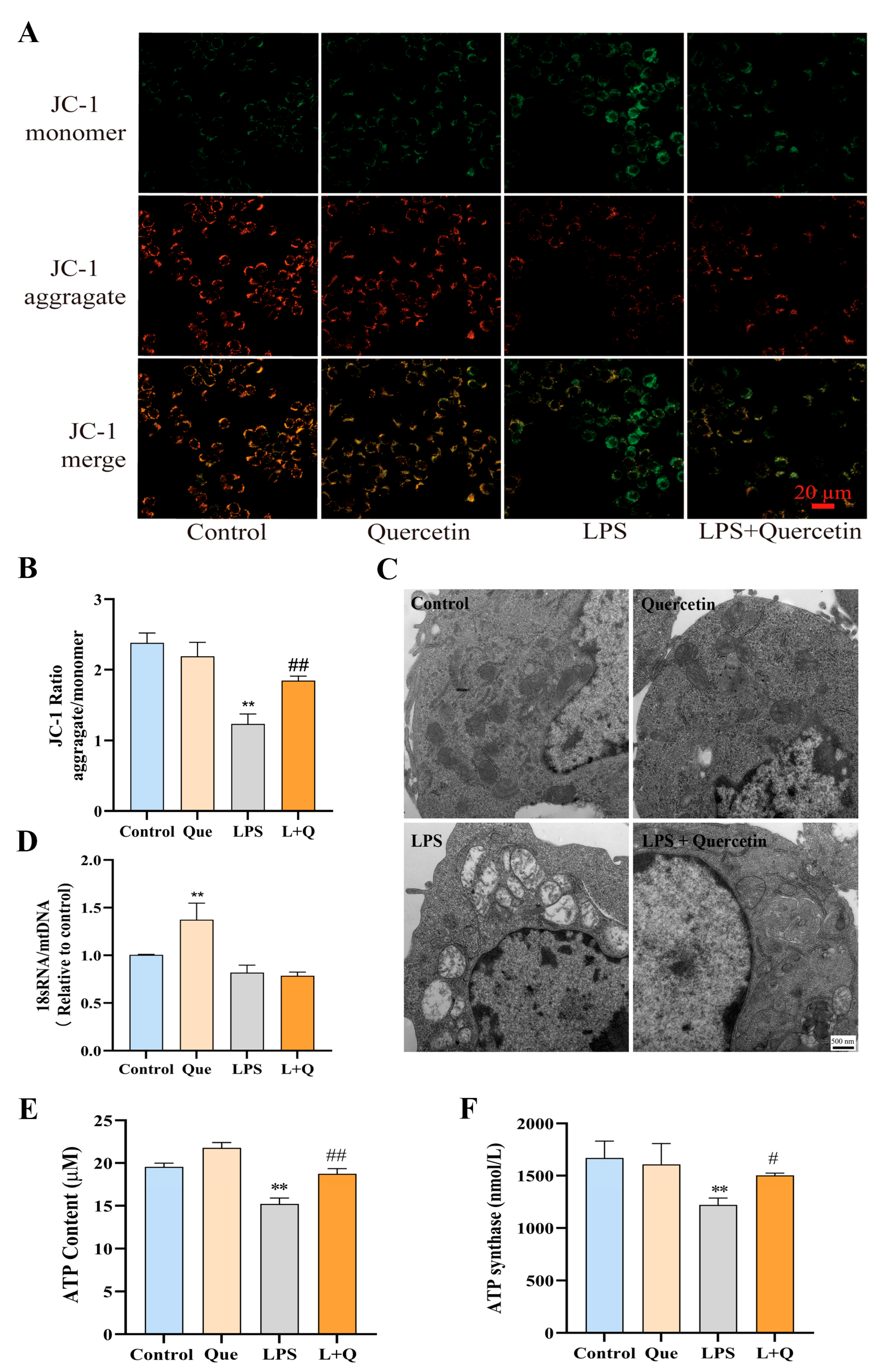 Ijms 24 05542 g003 Ijms 24 05542 g003