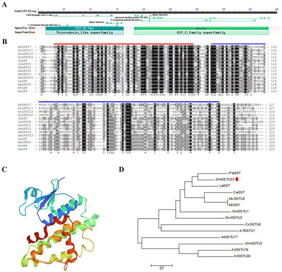 glutathione genes 23andme GSTM1: What It Measures & Why It Matters Unlock your genetic potential with the StrateGene Report by Dr Seeking advice on interpreting MTHFR