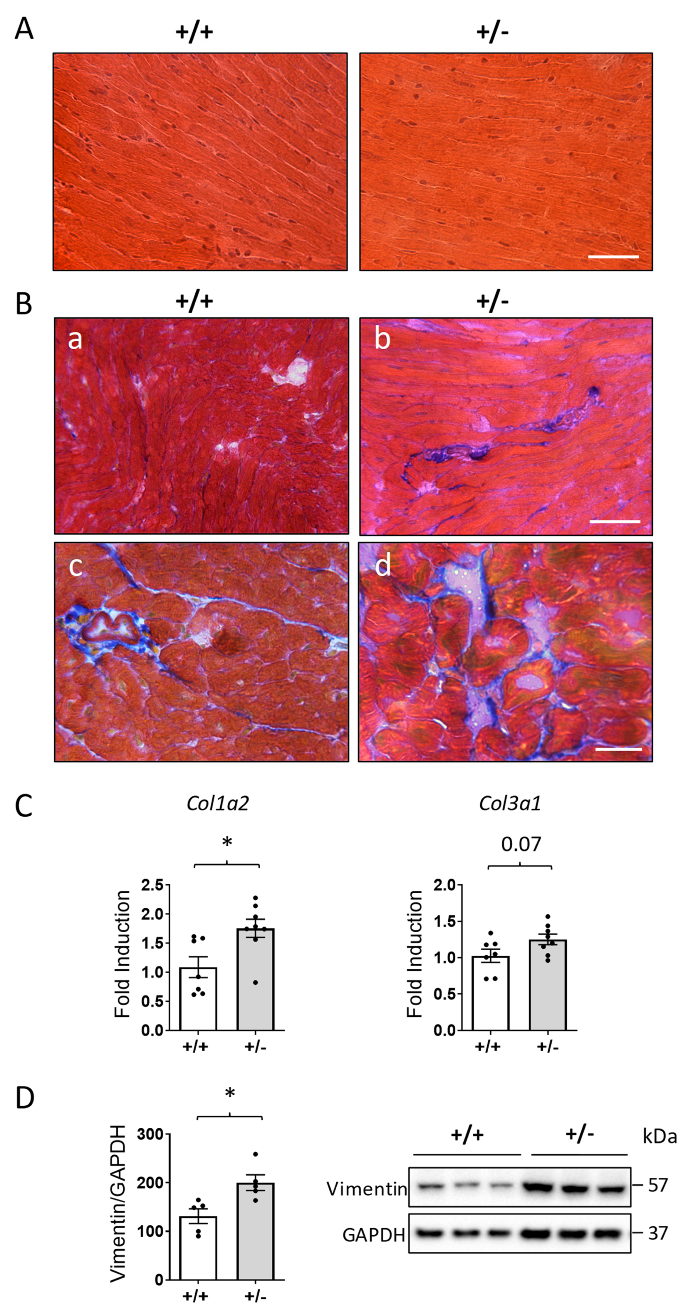 Ijms 24 05552 g002 Ijms 24 05552 g002