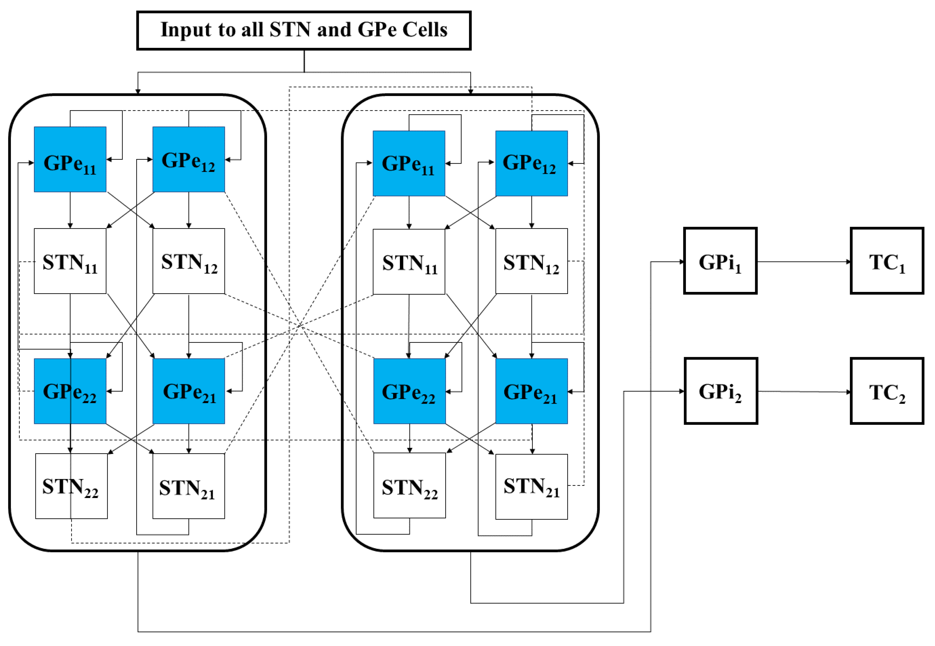 Ijms 24 05555 g017 Ijms 24 05555 g017