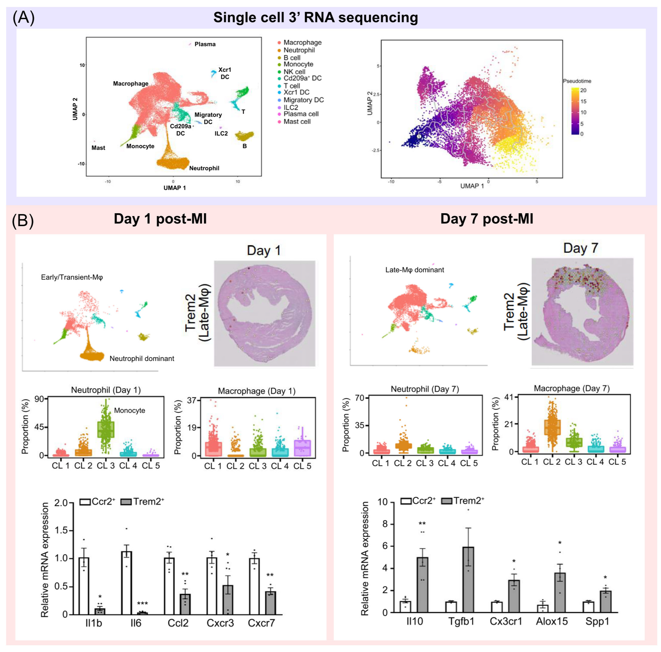 Ijms 24 05556 g003 Ijms 24 05556 g003