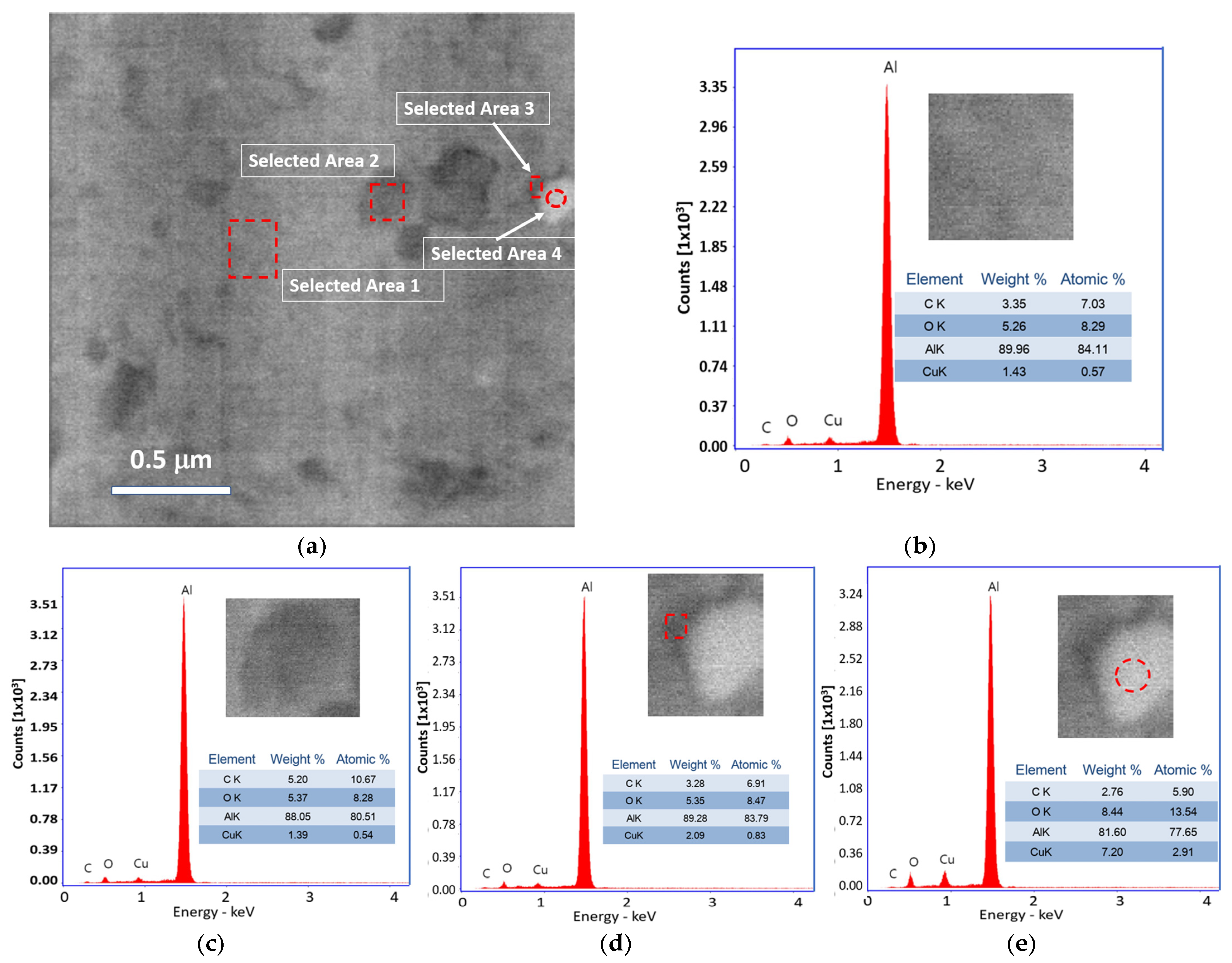 Ijms 24 05558 g001 Ijms 24 05558 g001