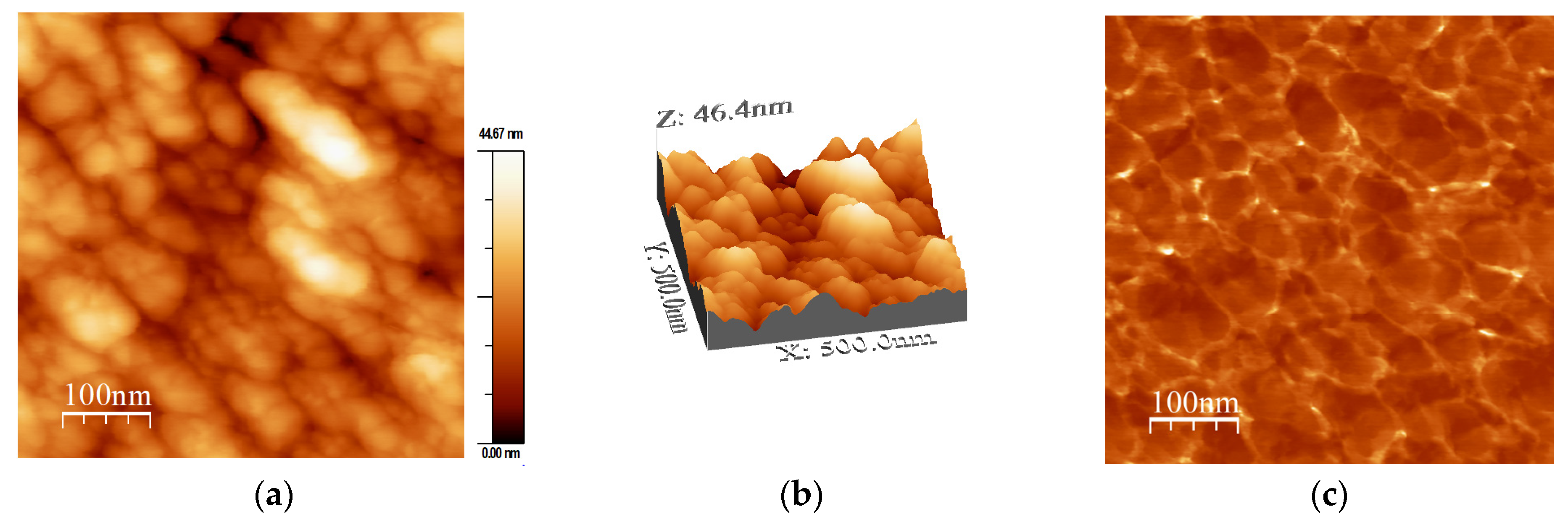 Ijms 24 05558 g004 Ijms 24 05558 g004