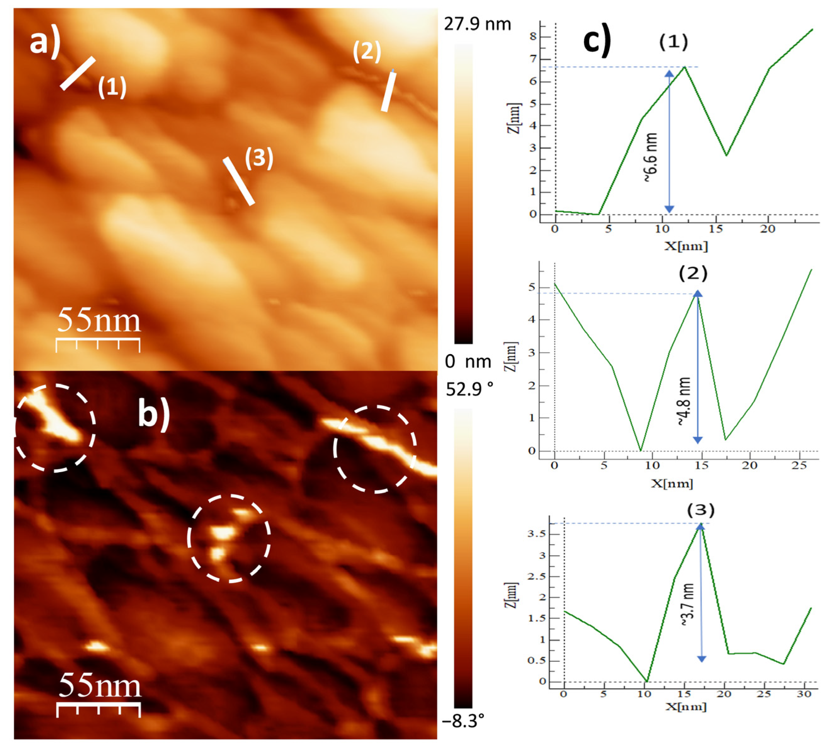 Ijms 24 05558 g007 Ijms 24 05558 g007