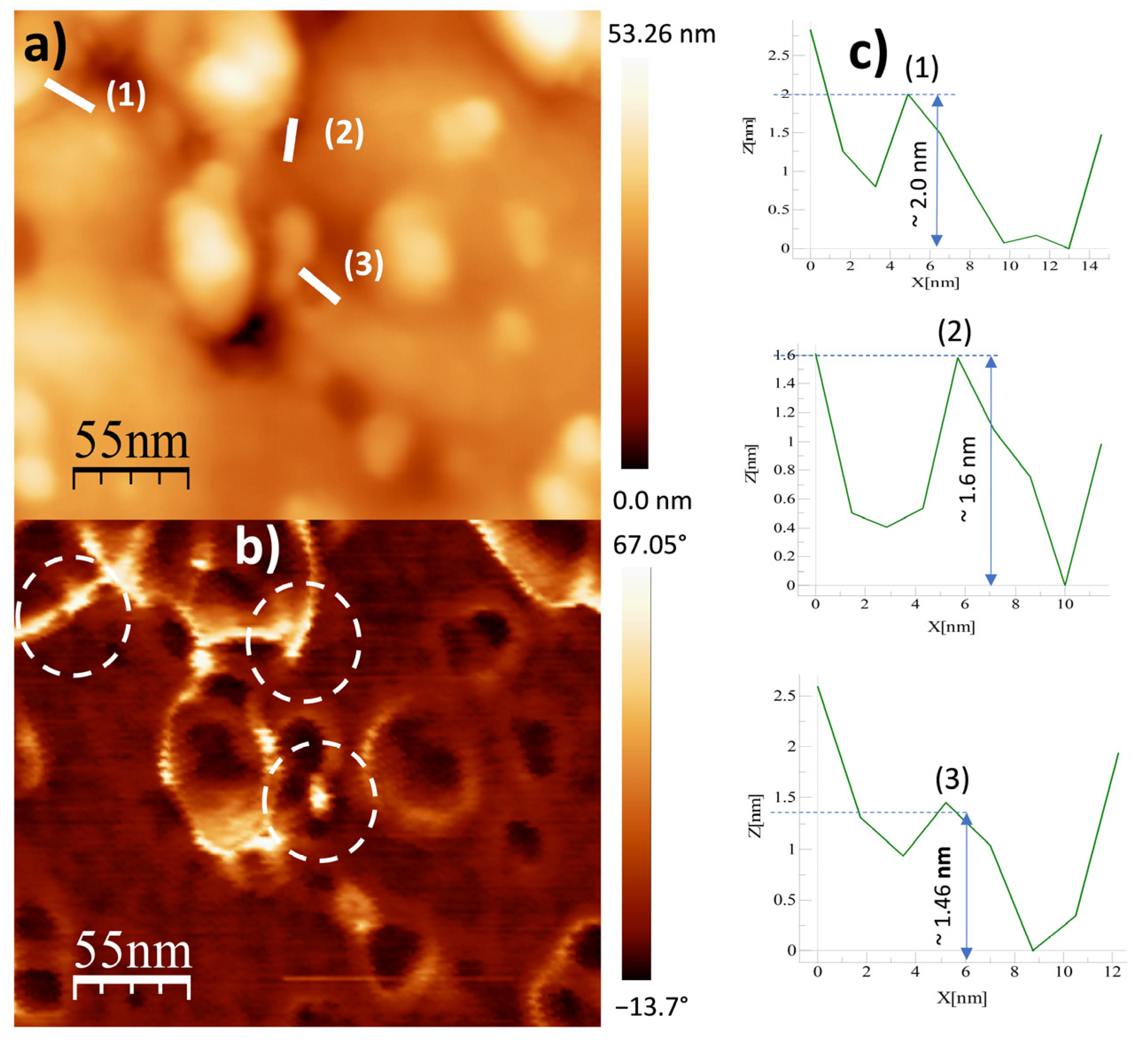 Ijms 24 05558 g009 Ijms 24 05558 g009