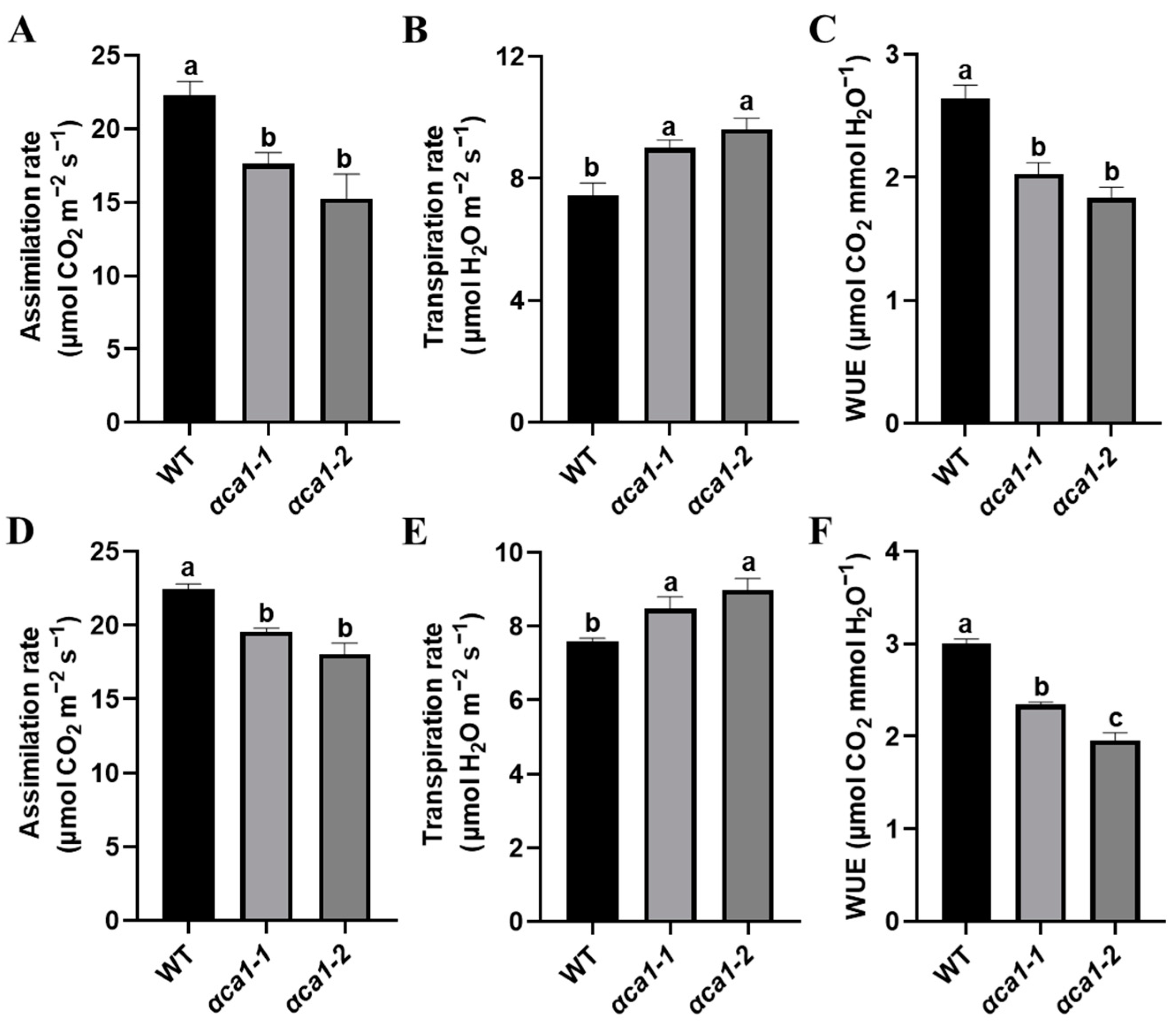 Ijms 24 05560 g002 Ijms 24 05560 g002