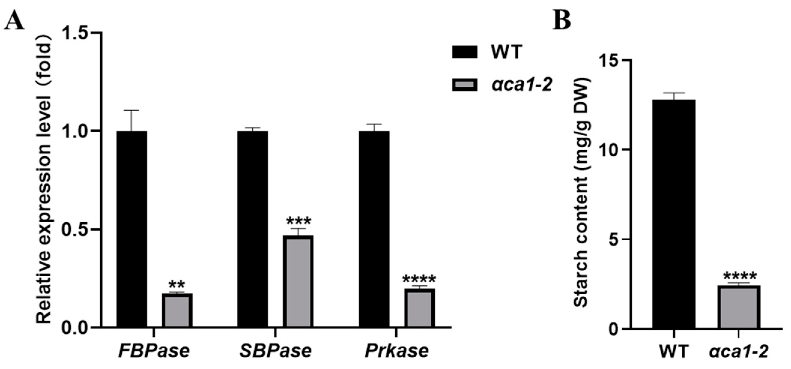 Ijms 24 05560 g004 Ijms 24 05560 g004