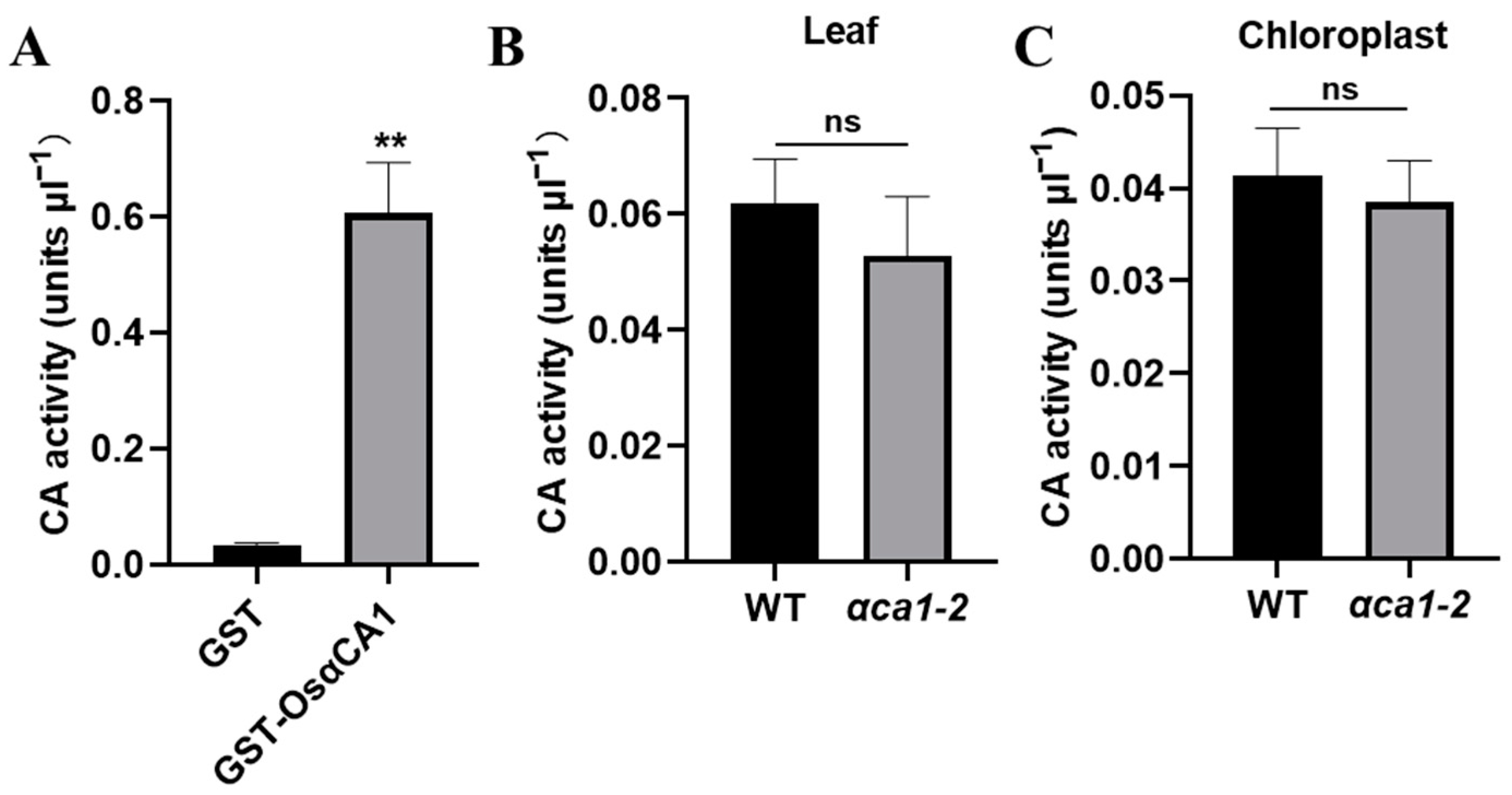 Ijms 24 05560 g006 Ijms 24 05560 g006