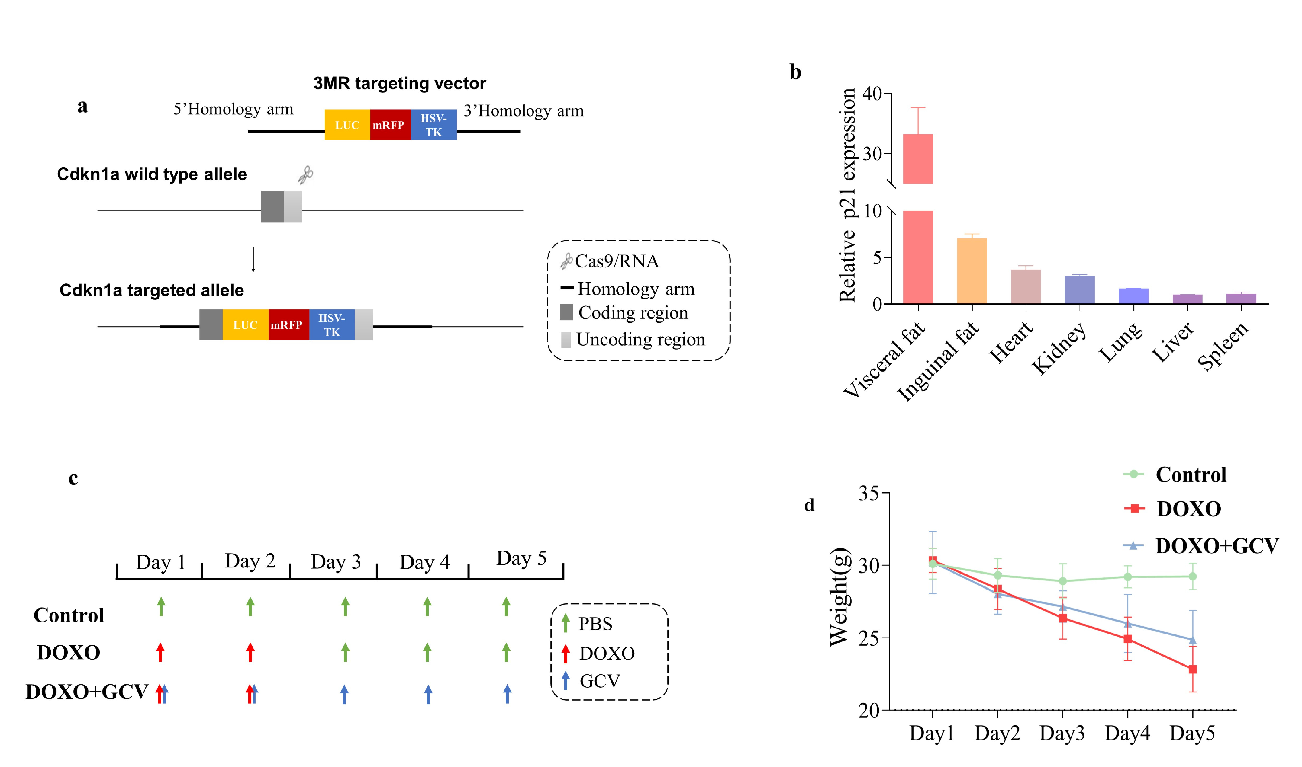 Ijms 24 05565 g001 Ijms 24 05565 g001