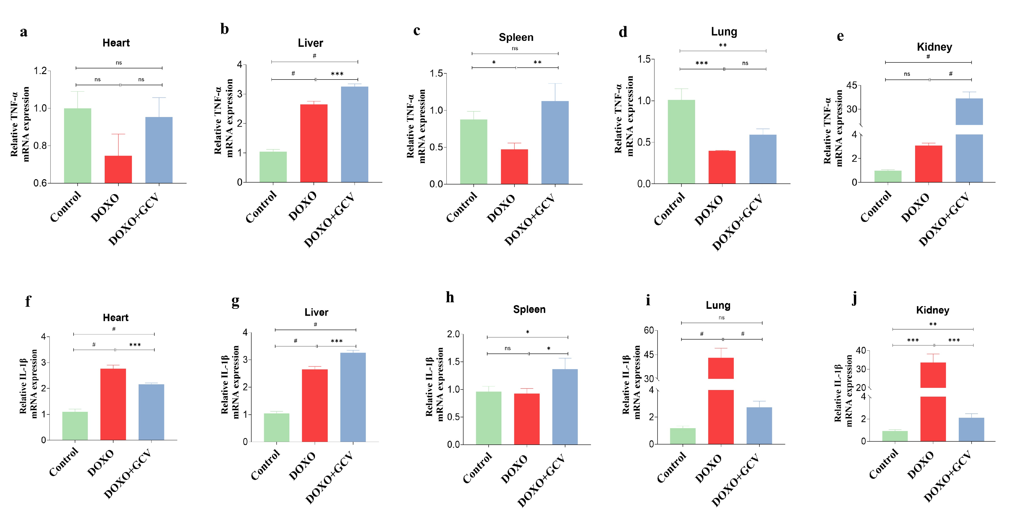 Ijms 24 05565 g005 Ijms 24 05565 g005