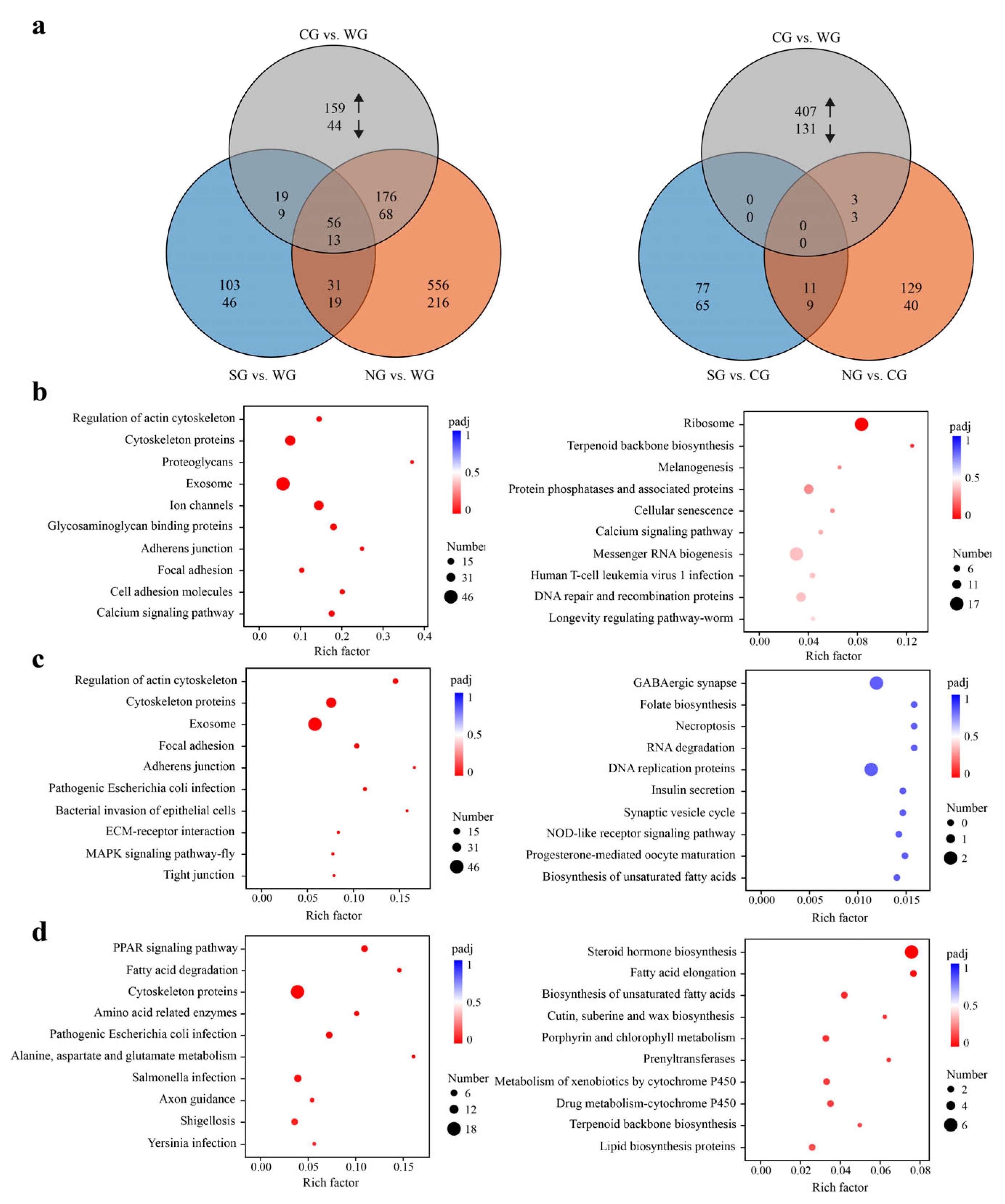 Ijms 24 05577 g002 Ijms 24 05577 g002