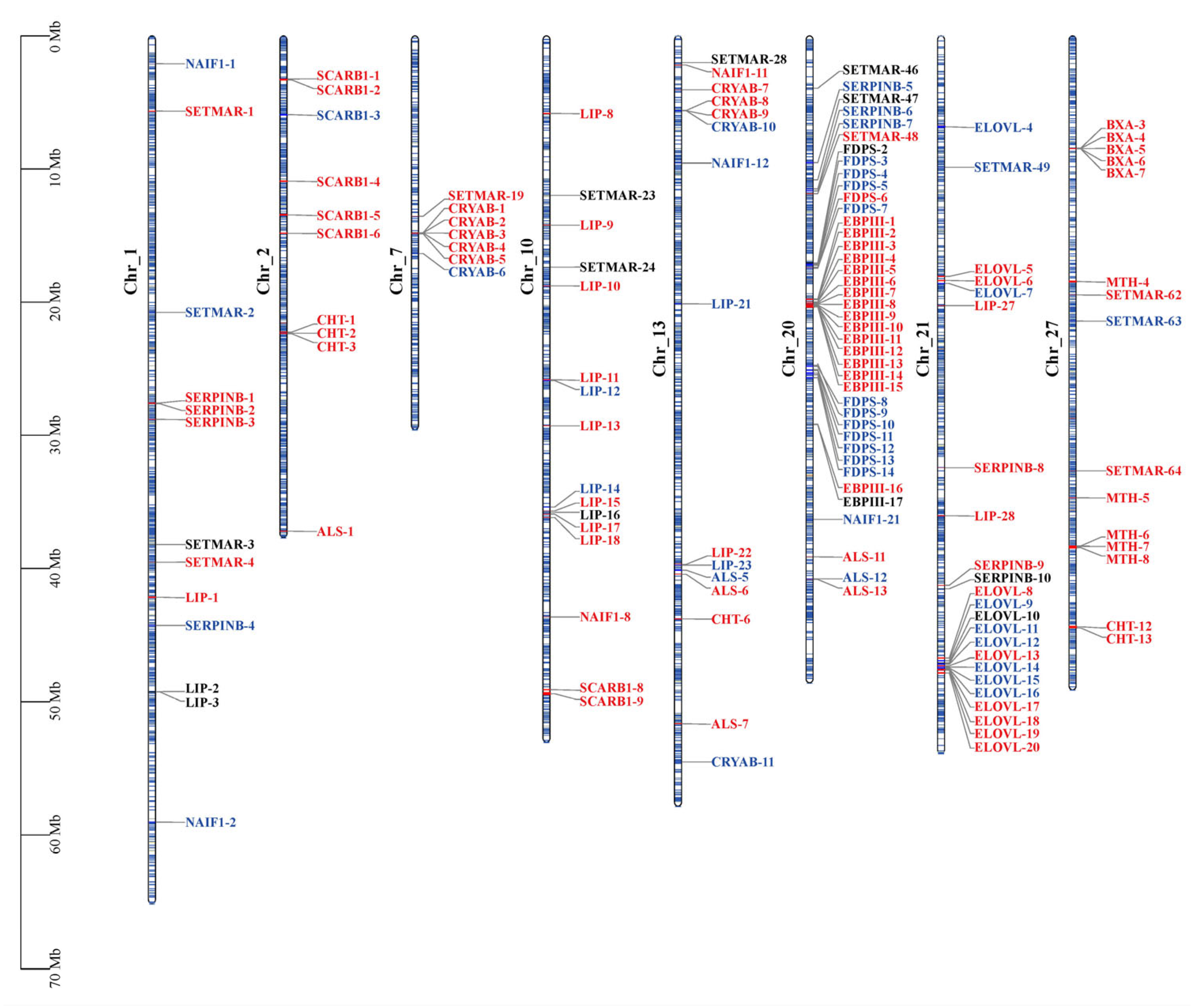 Ijms 24 05577 g006 Ijms 24 05577 g006