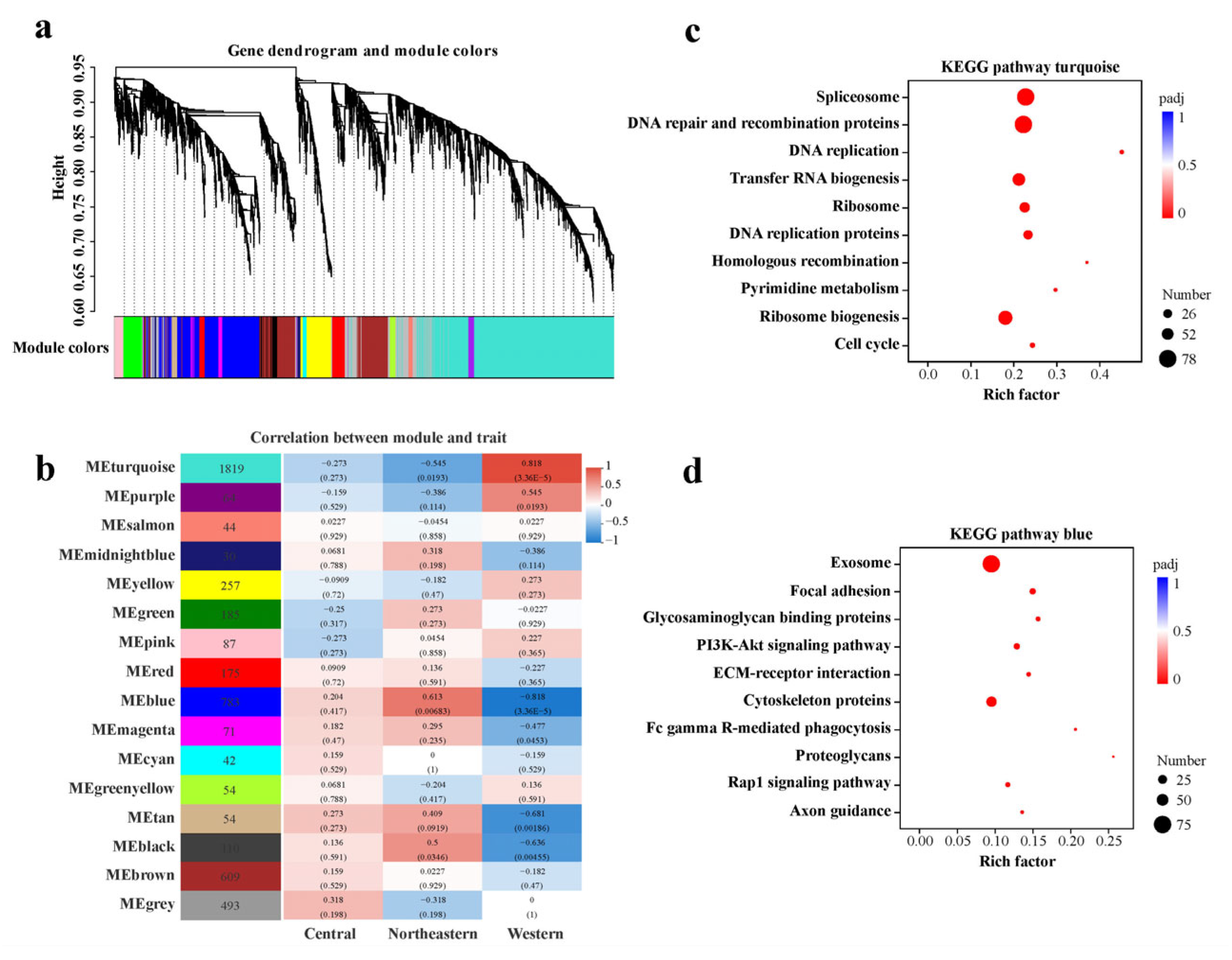 Ijms 24 05577 g007 Ijms 24 05577 g007