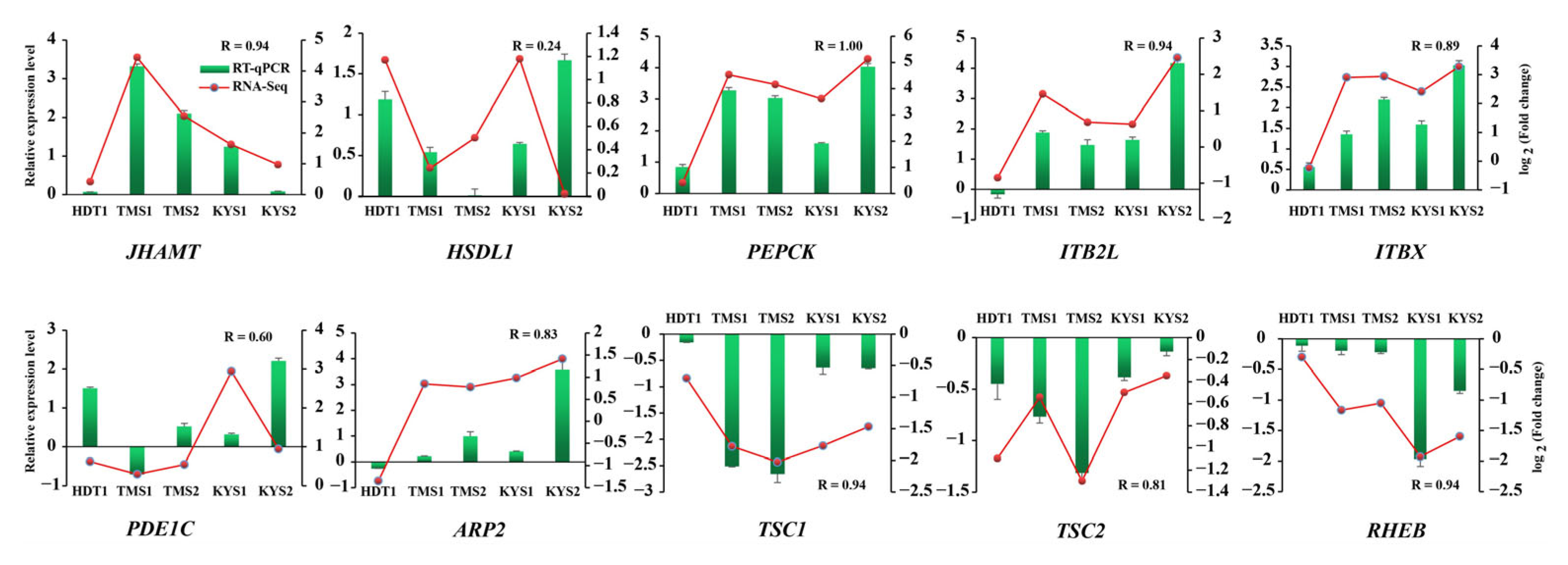 Ijms 24 05577 g009 Ijms 24 05577 g009