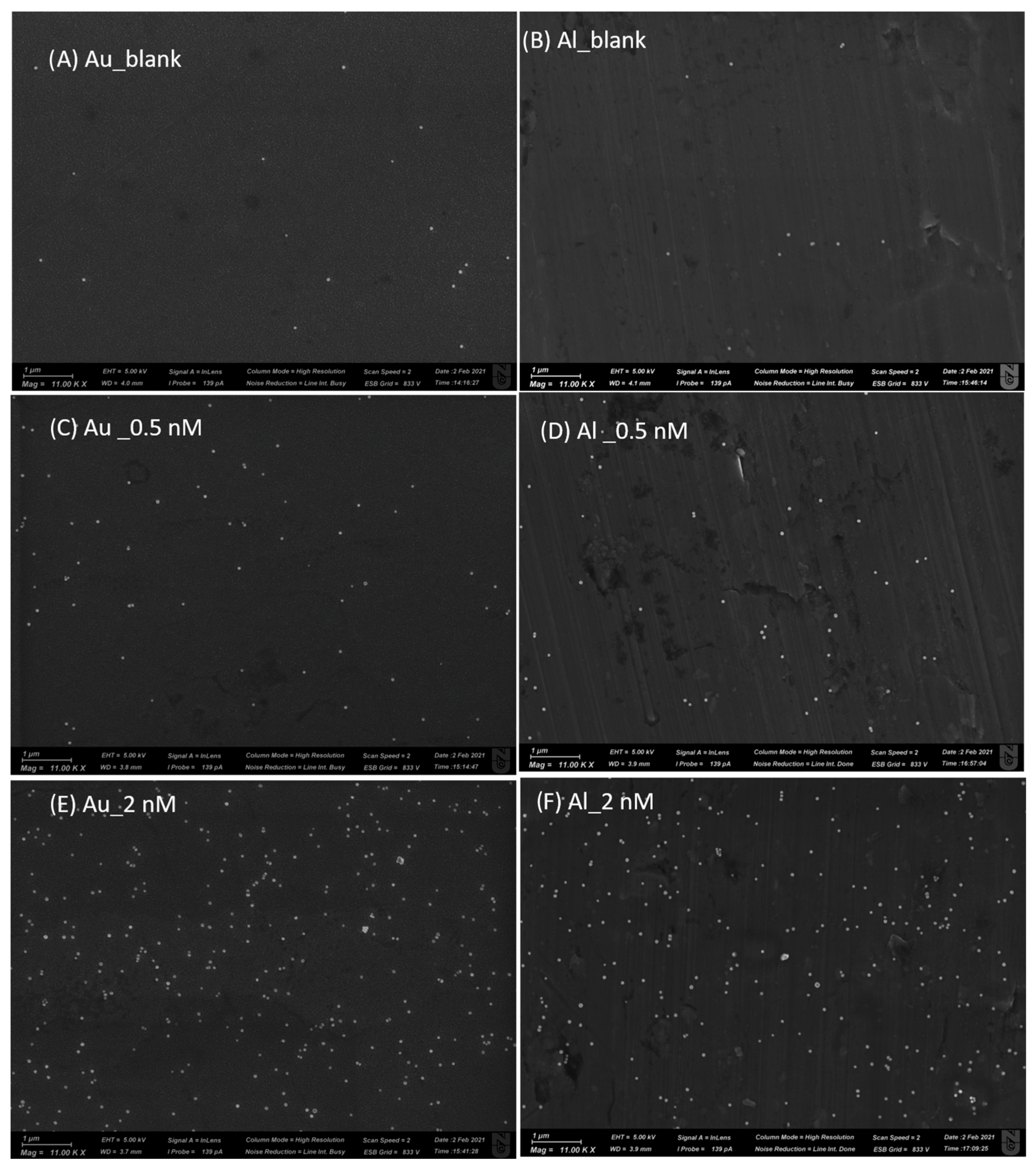 Ijms 24 05578 g005 Ijms 24 05578 g005