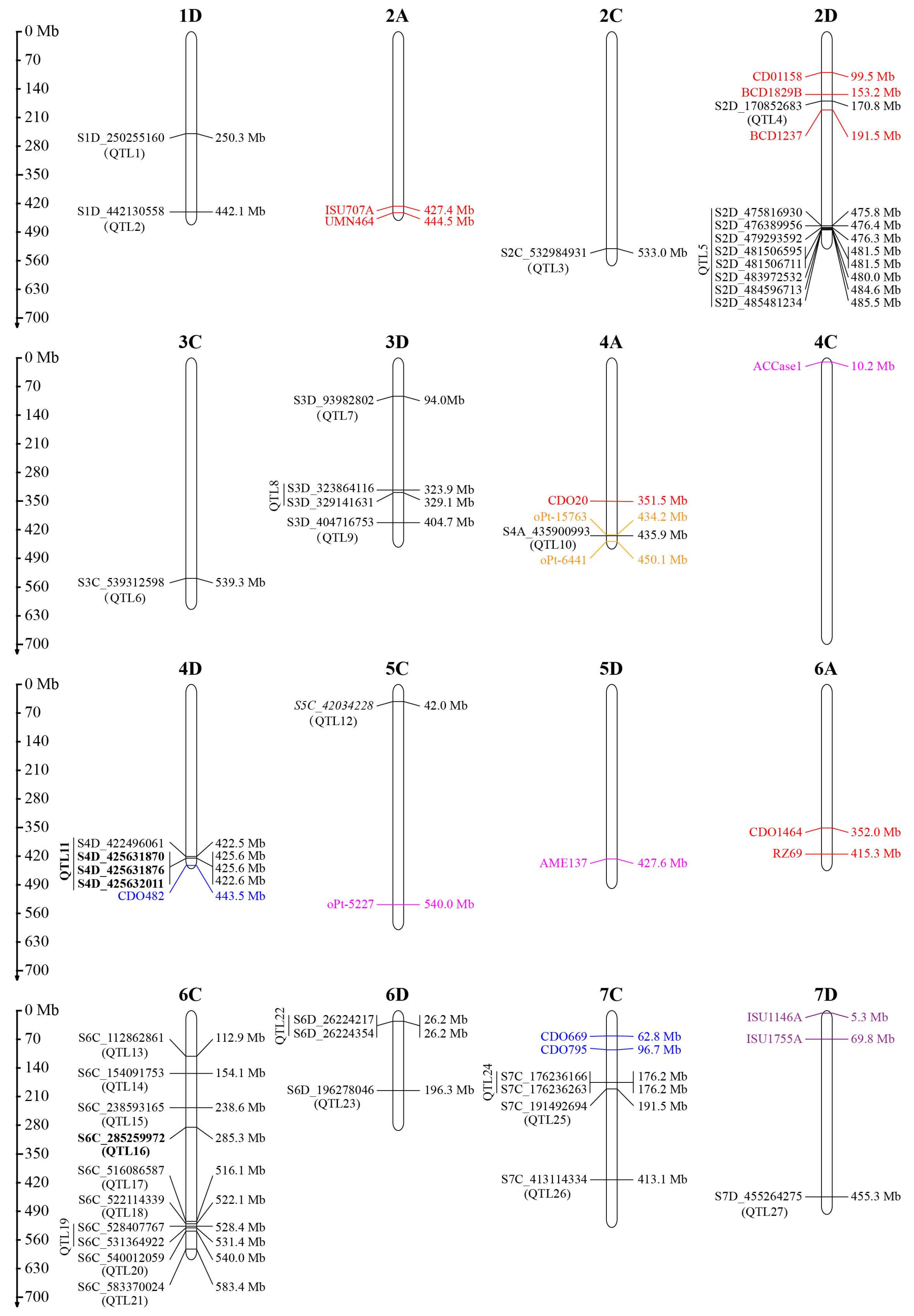 Ijms 24 05581 g004 Ijms 24 05581 g004