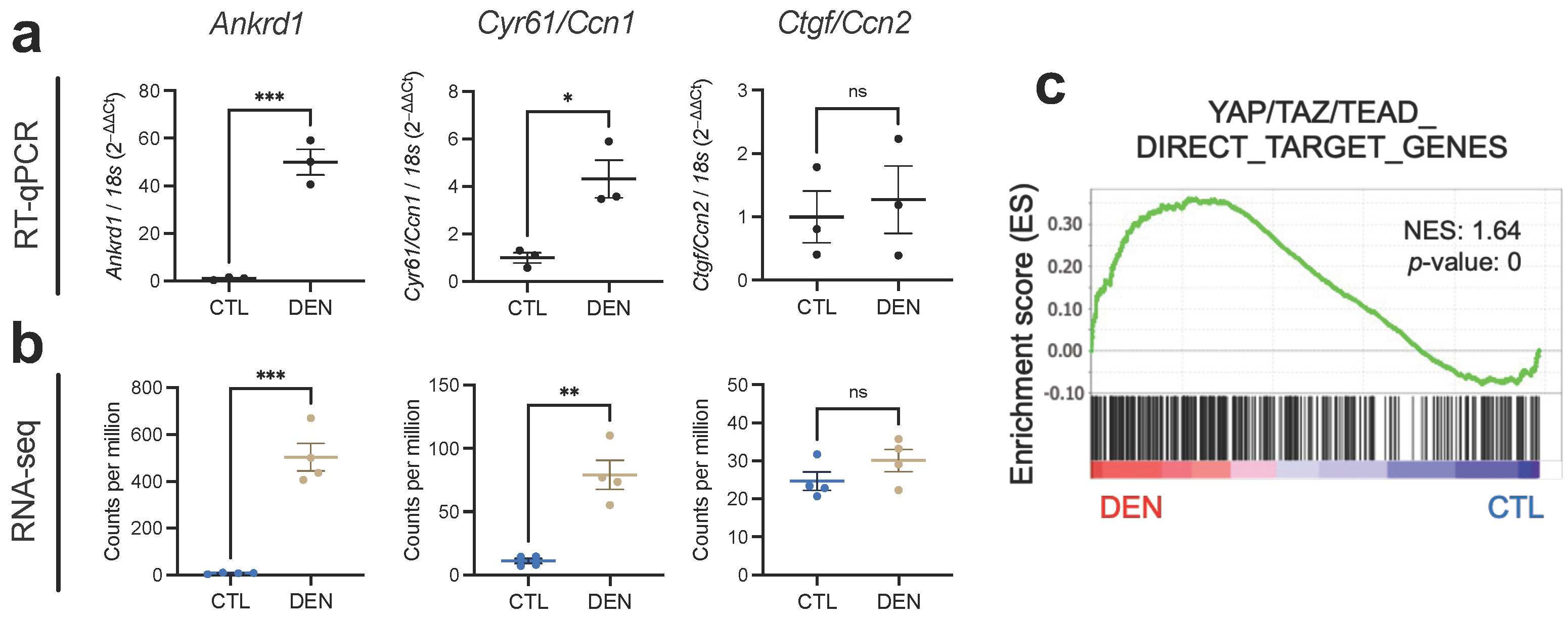 Ijms 24 05585 g003 Ijms 24 05585 g003
