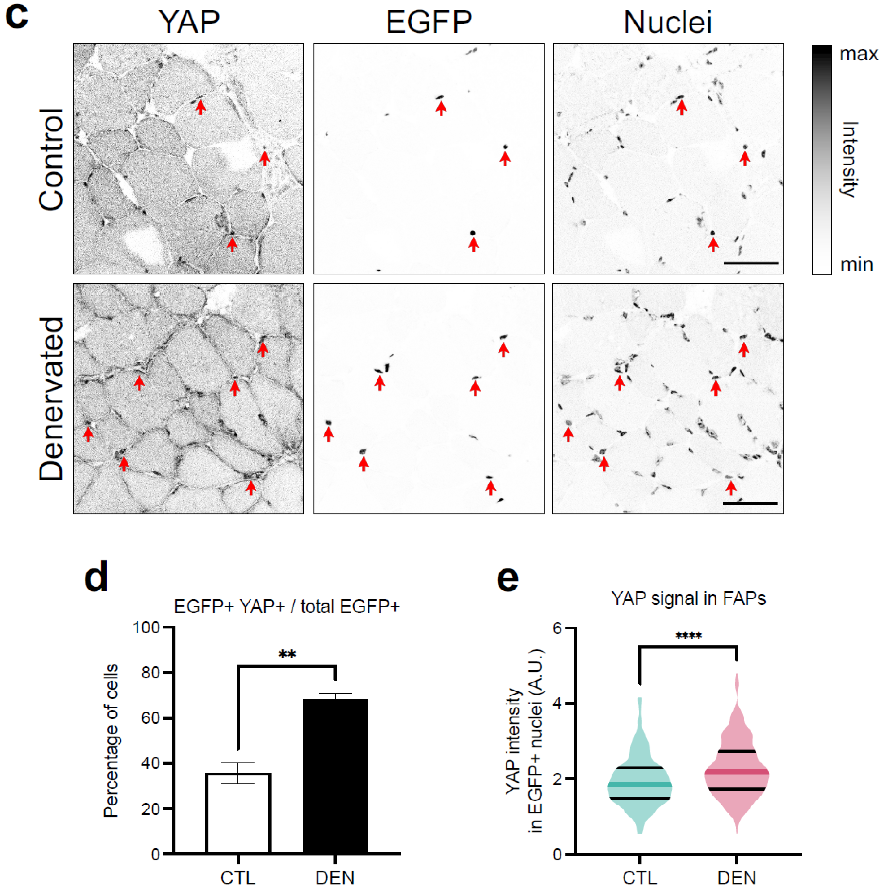 Ijms 24 05585 g004b Ijms 24 05585 g004b