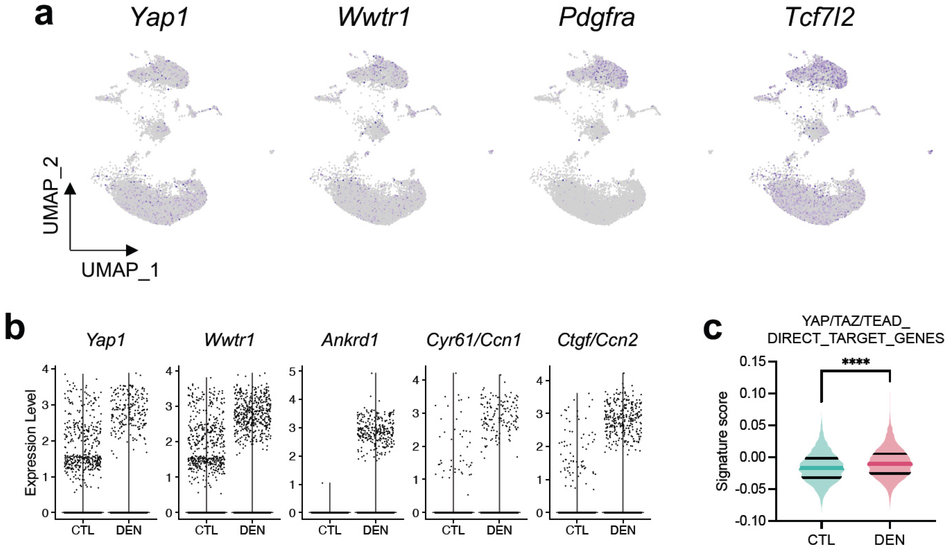 Ijms 24 05585 g005 Ijms 24 05585 g005