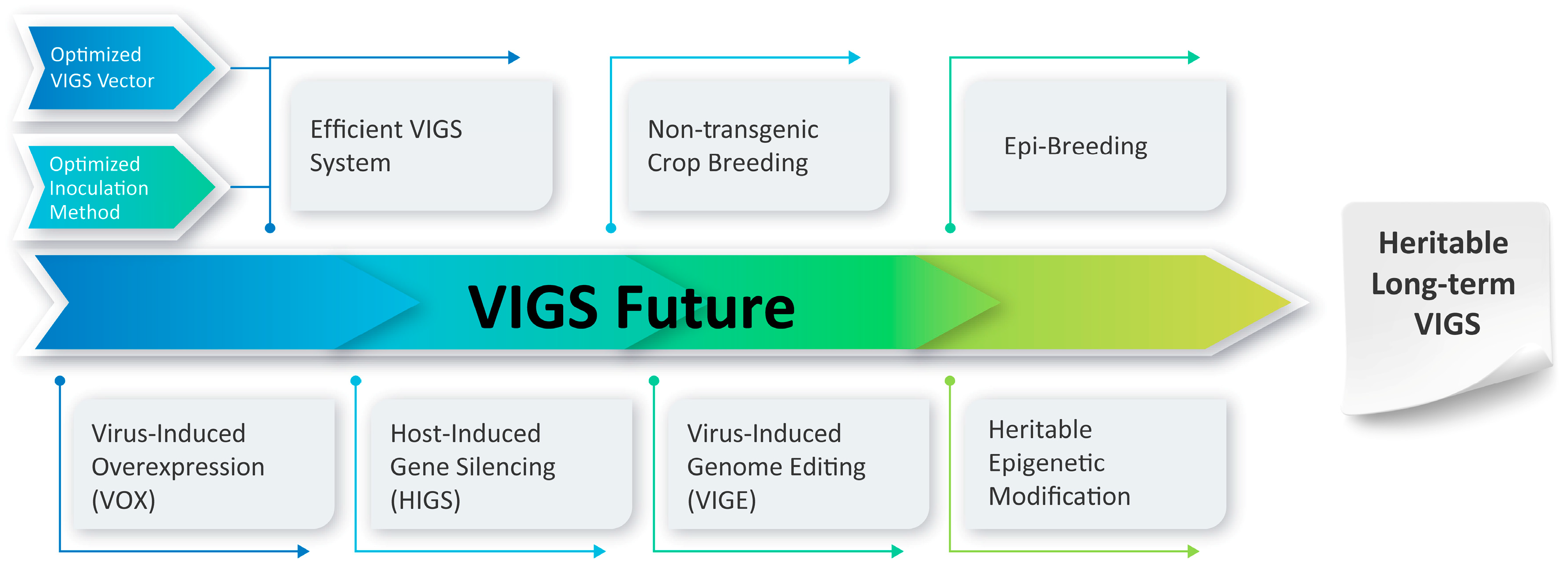 Ijms 24 05608 g004 Ijms 24 05608 g004