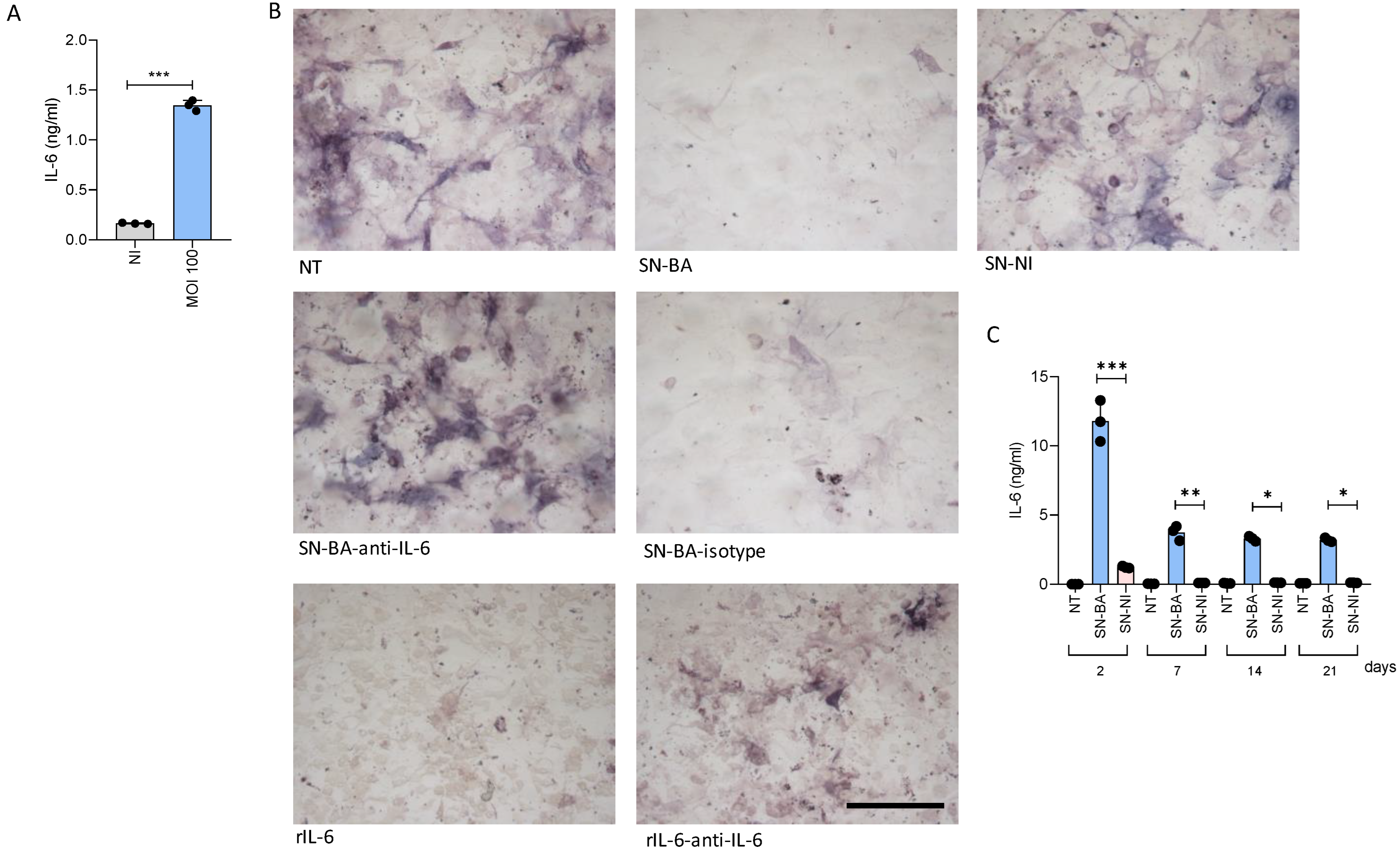 Ijms 24 05617 g002 Ijms 24 05617 g002