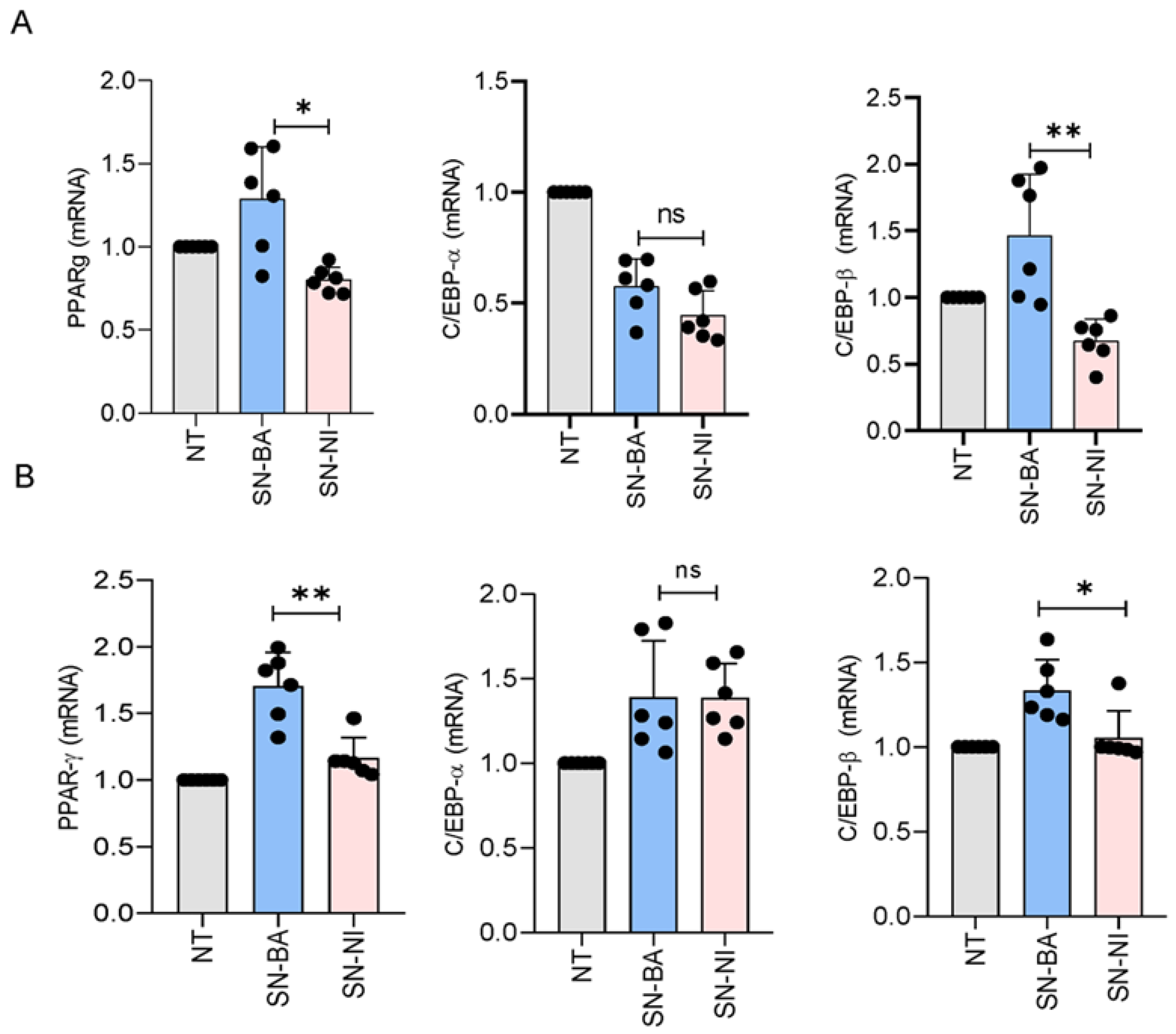 Ijms 24 05617 g008 Ijms 24 05617 g008