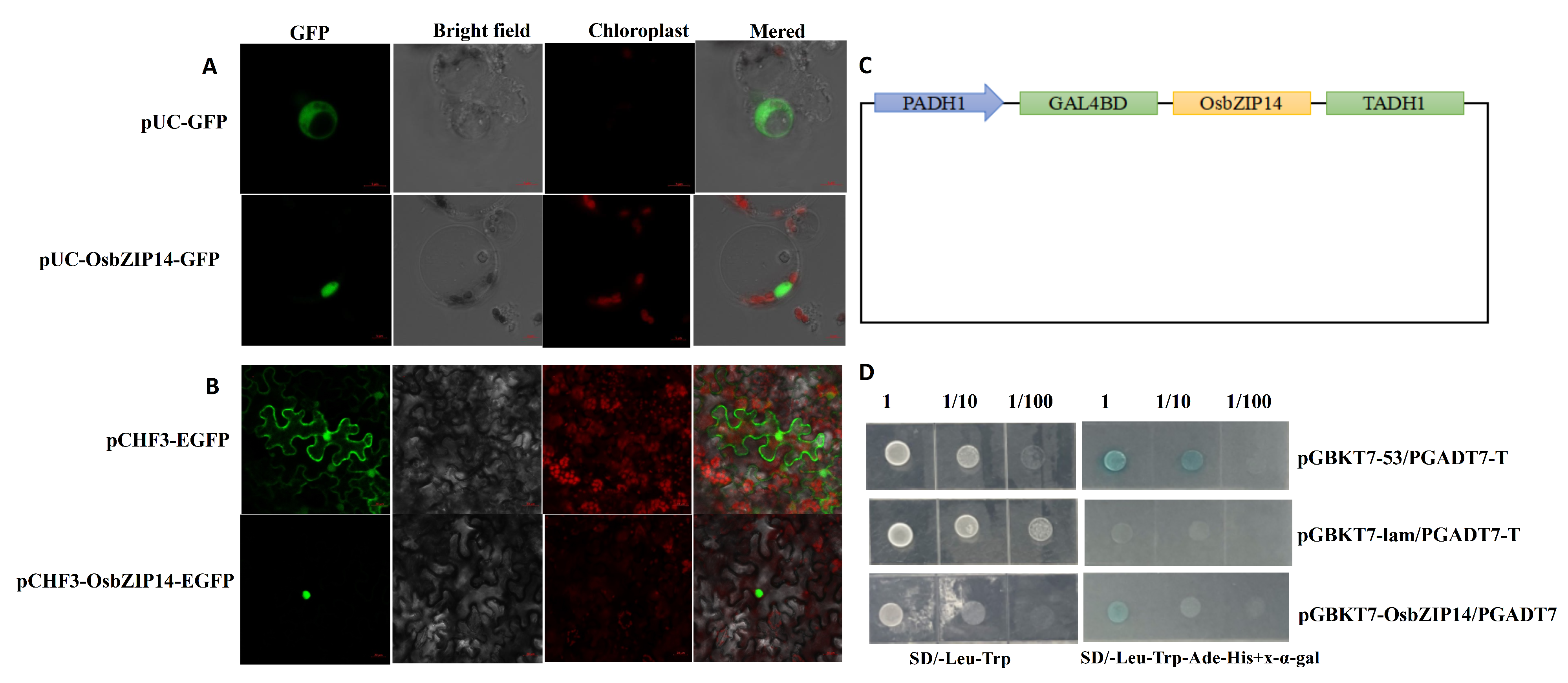 Ijms 24 05619 g005 Ijms 24 05619 g005