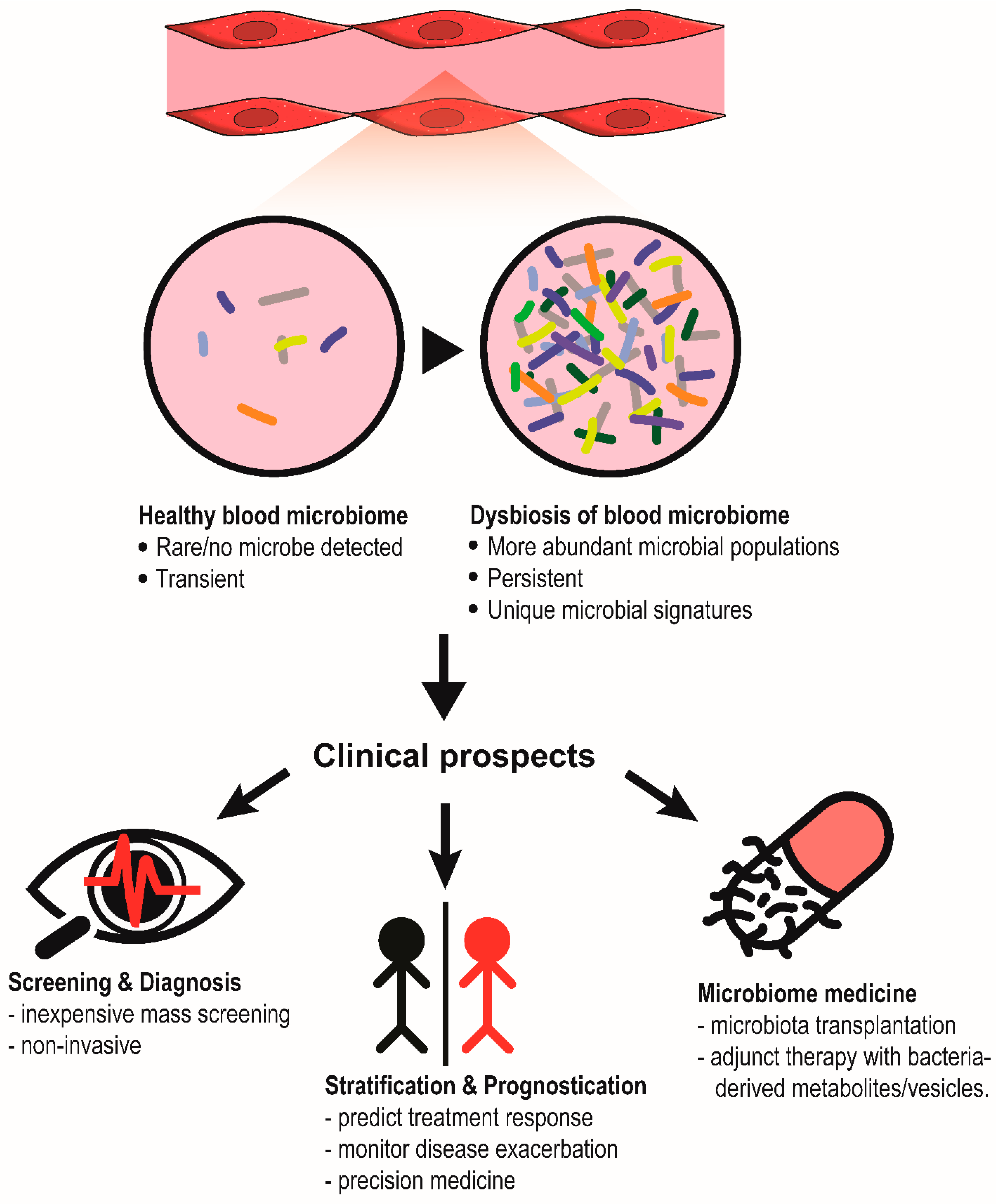 The Blood Microbiome and Health: Current Evidence