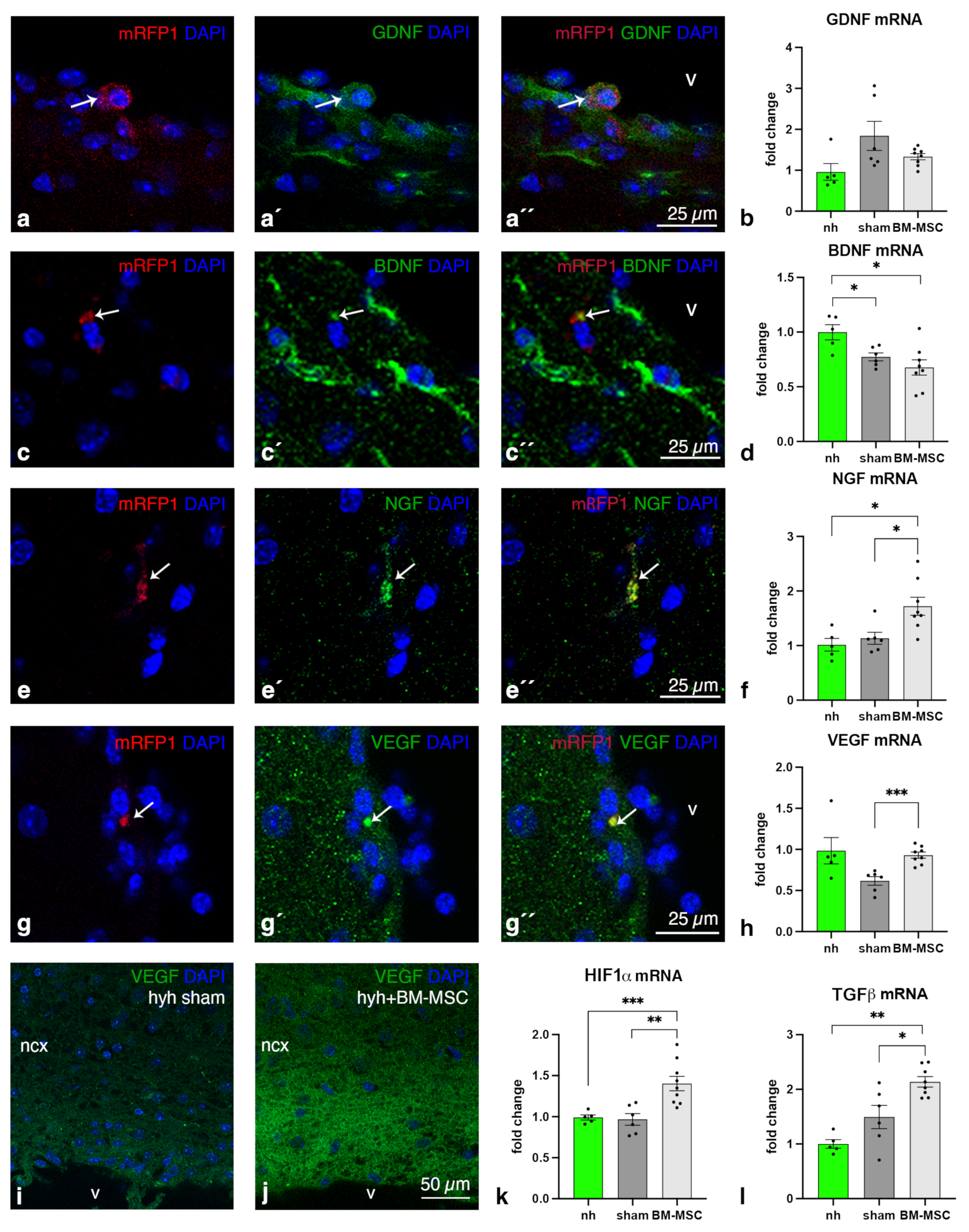 Ijms 24 05640 g002 Ijms 24 05640 g002