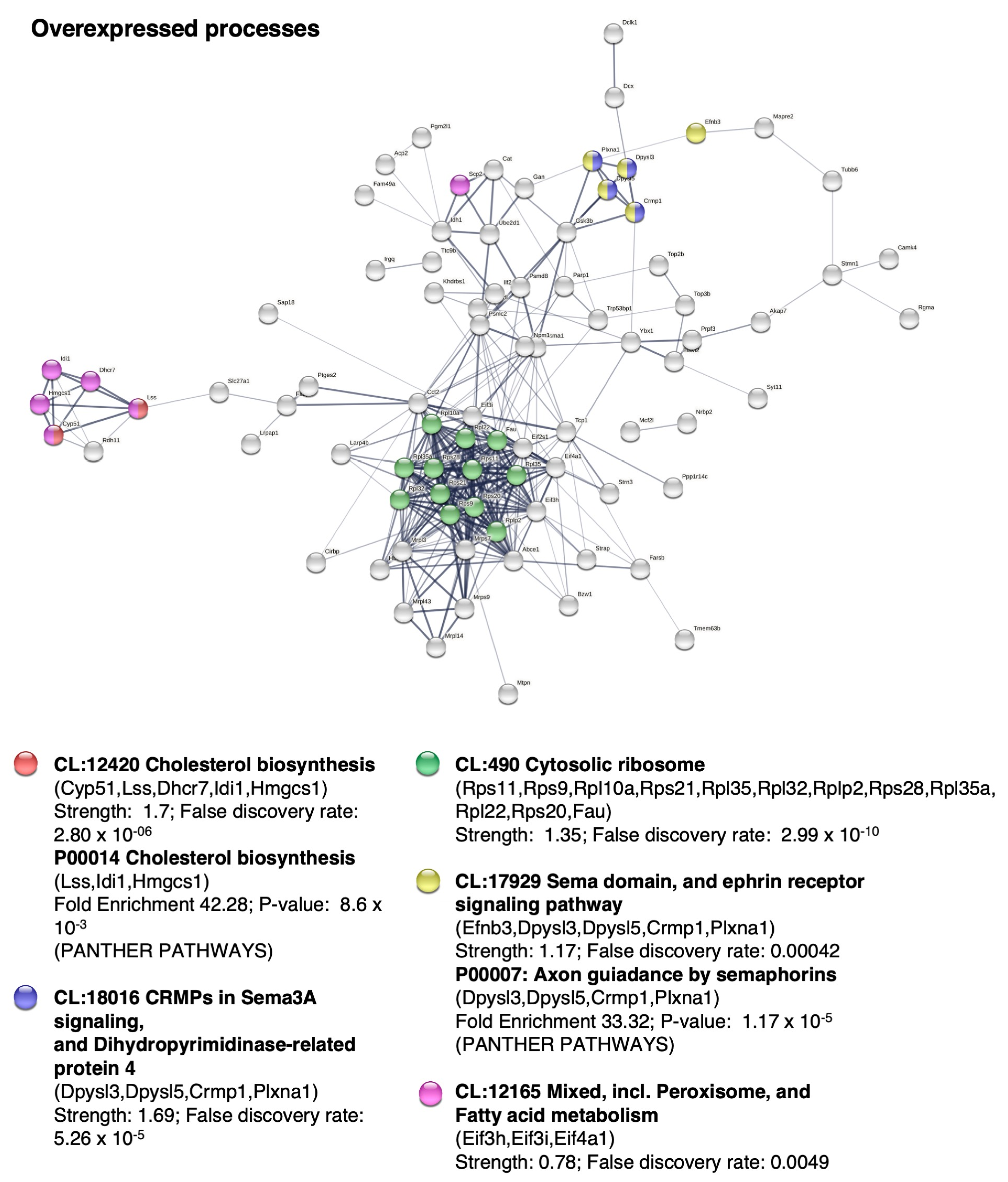 Ijms 24 05640 g004 Ijms 24 05640 g004