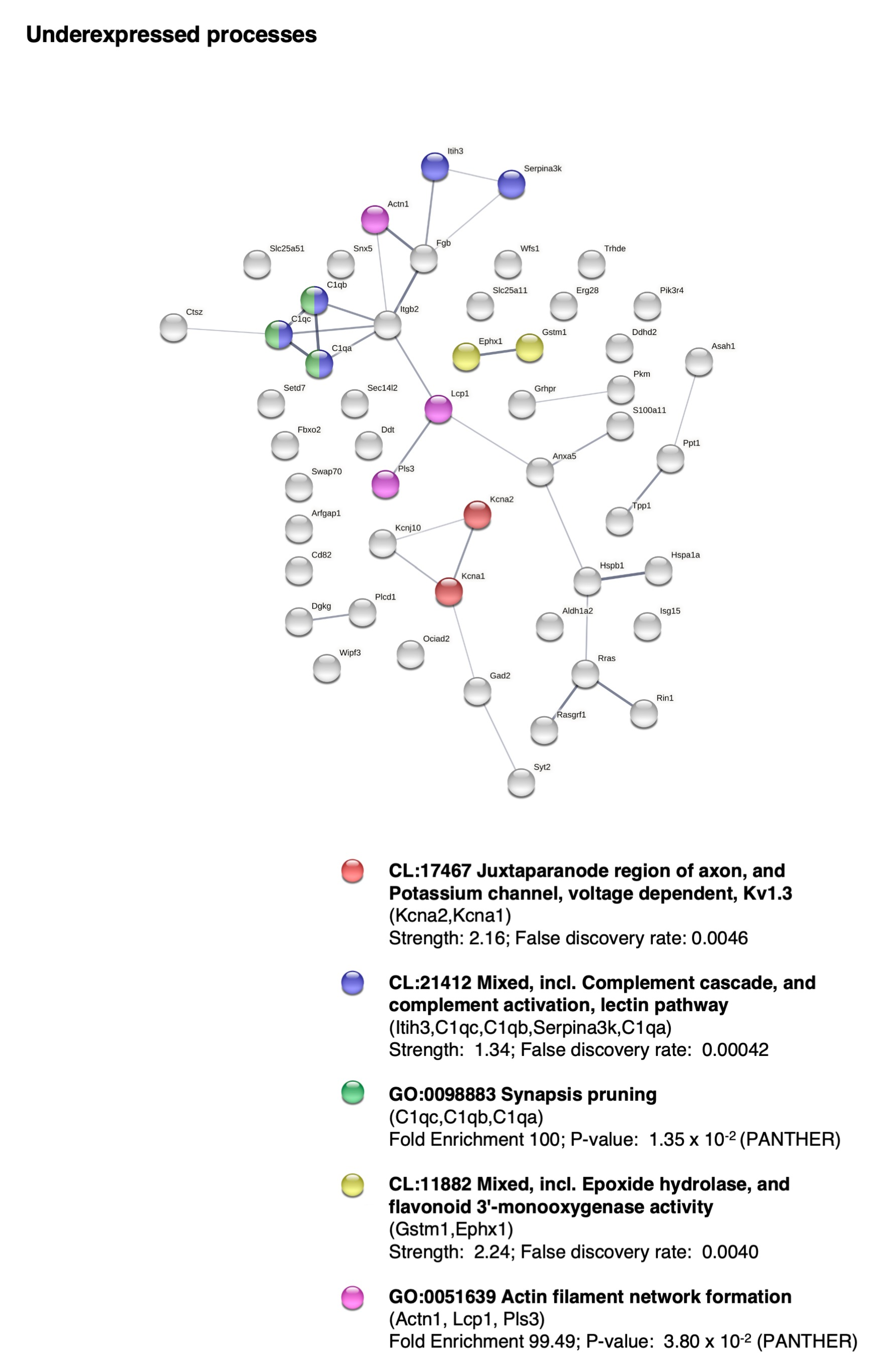 Ijms 24 05640 g005 Ijms 24 05640 g005