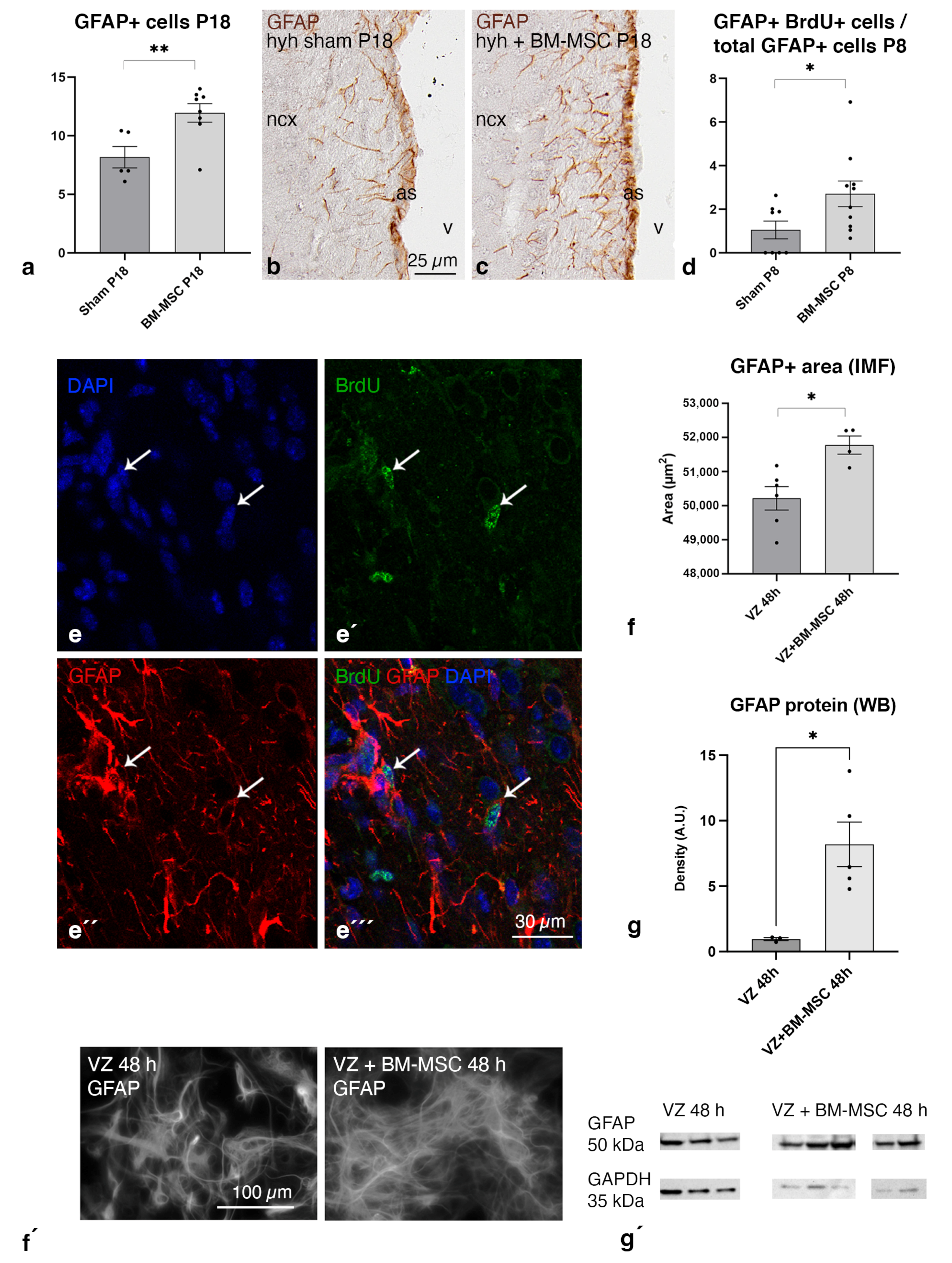 Ijms 24 05640 g006 Ijms 24 05640 g006