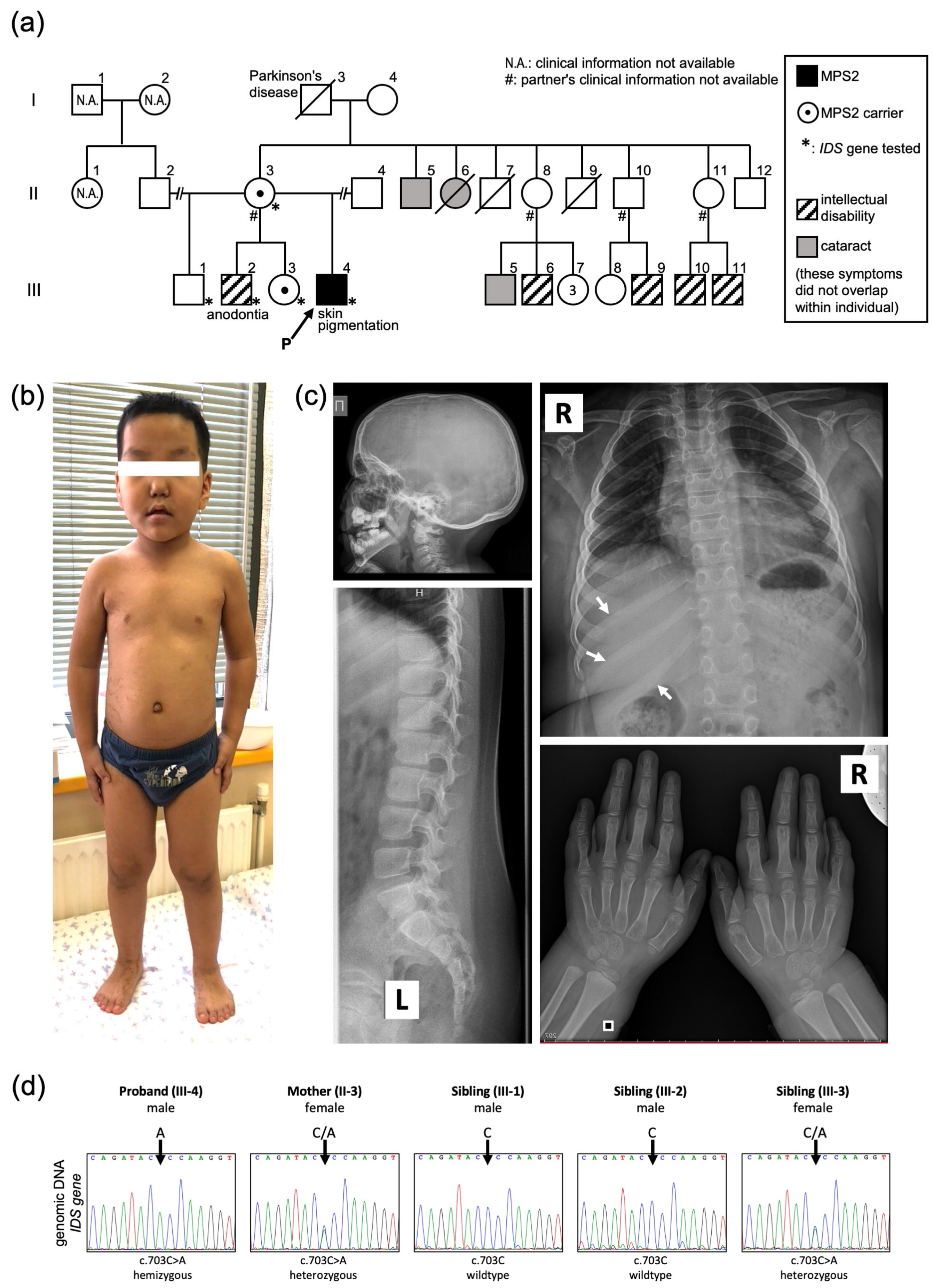 Ijms 24 05647 g001 Ijms 24 05647 g001