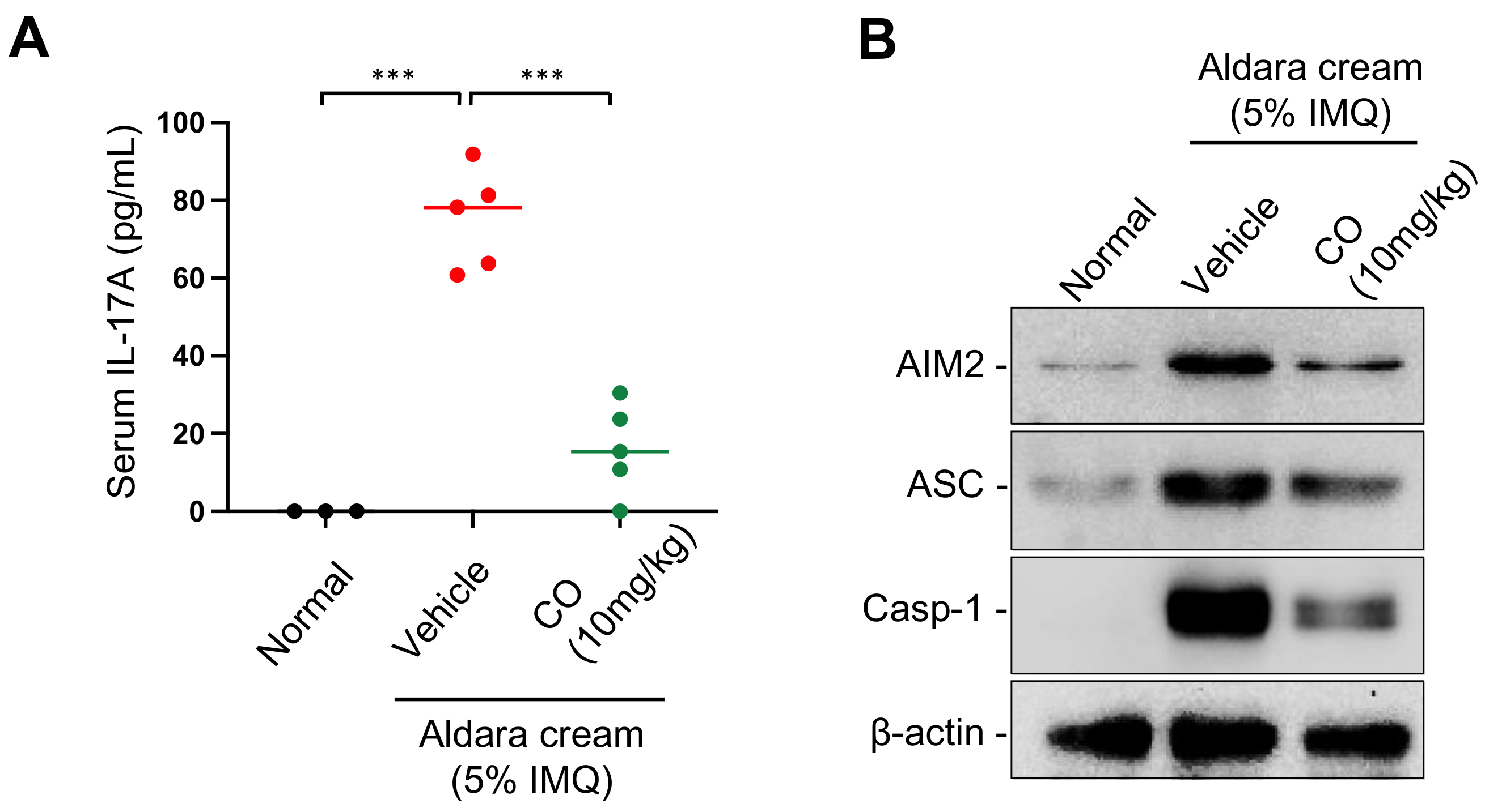 Ijms 24 05653 g007 Ijms 24 05653 g007