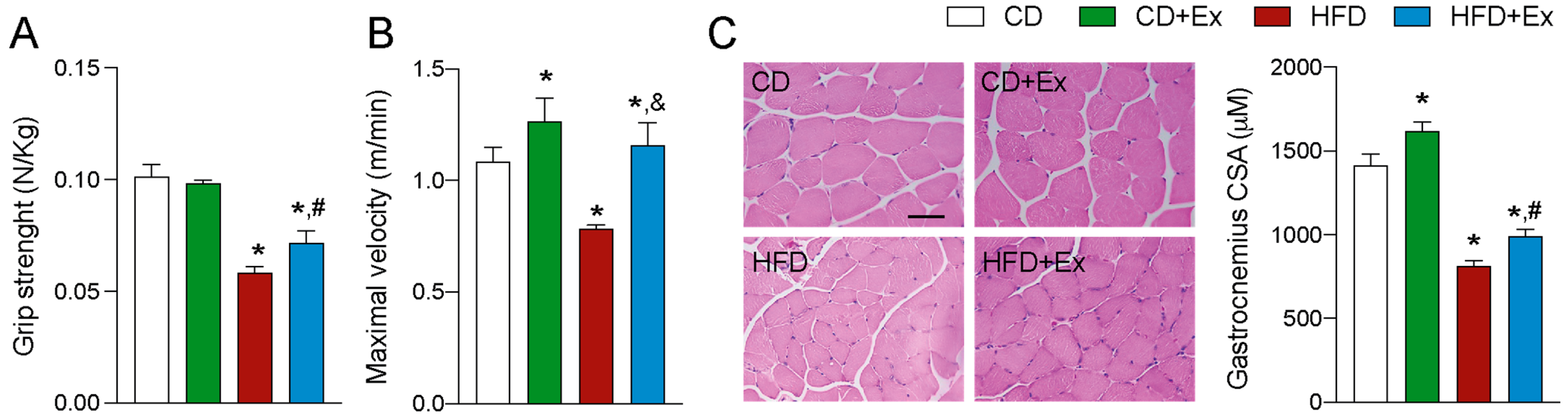 Ijms 24 05654 g002 Ijms 24 05654 g002