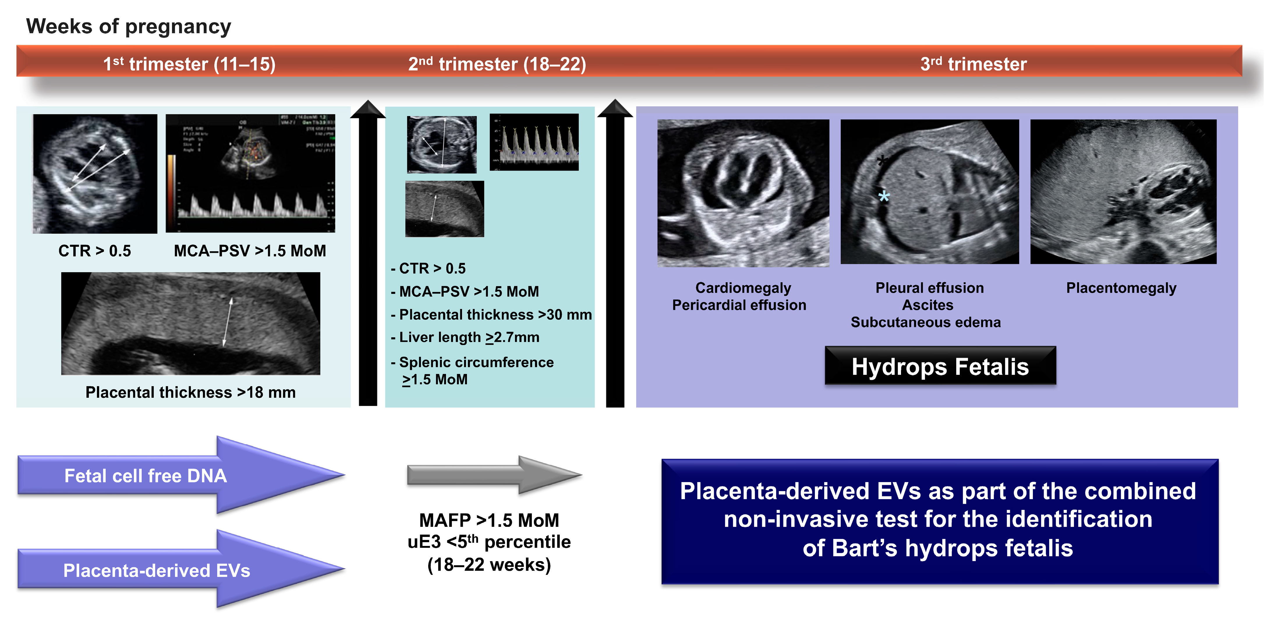Placenta-Derived Extracellular Vesicles in Pregnancy