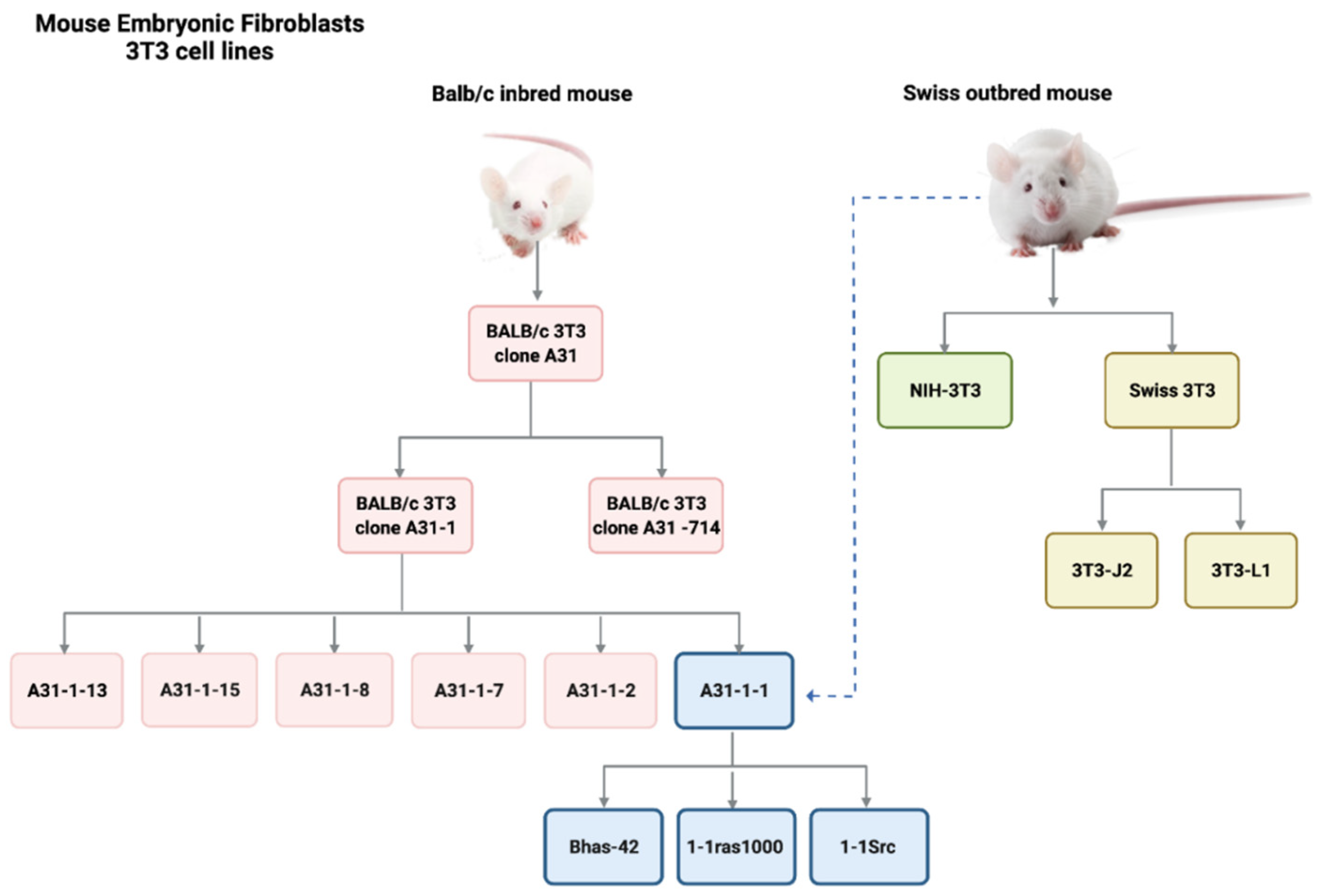 Ijms 24 05659 g002 Ijms 24 05659 g002