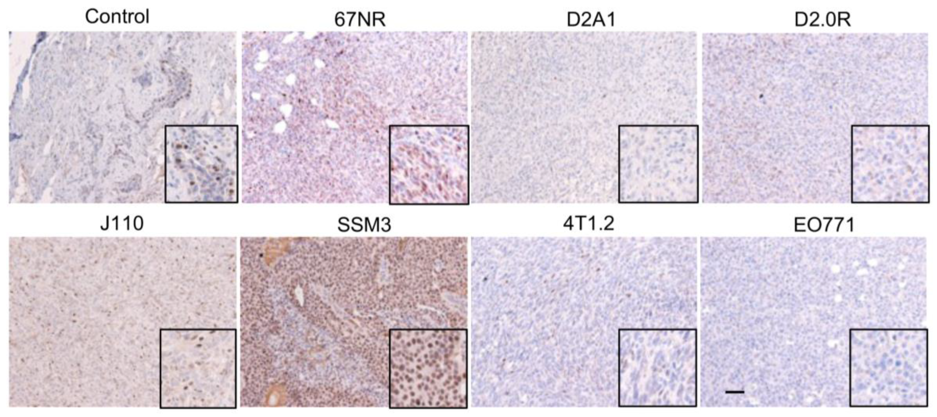 Ijms 24 05666 g001 Ijms 24 05666 g001