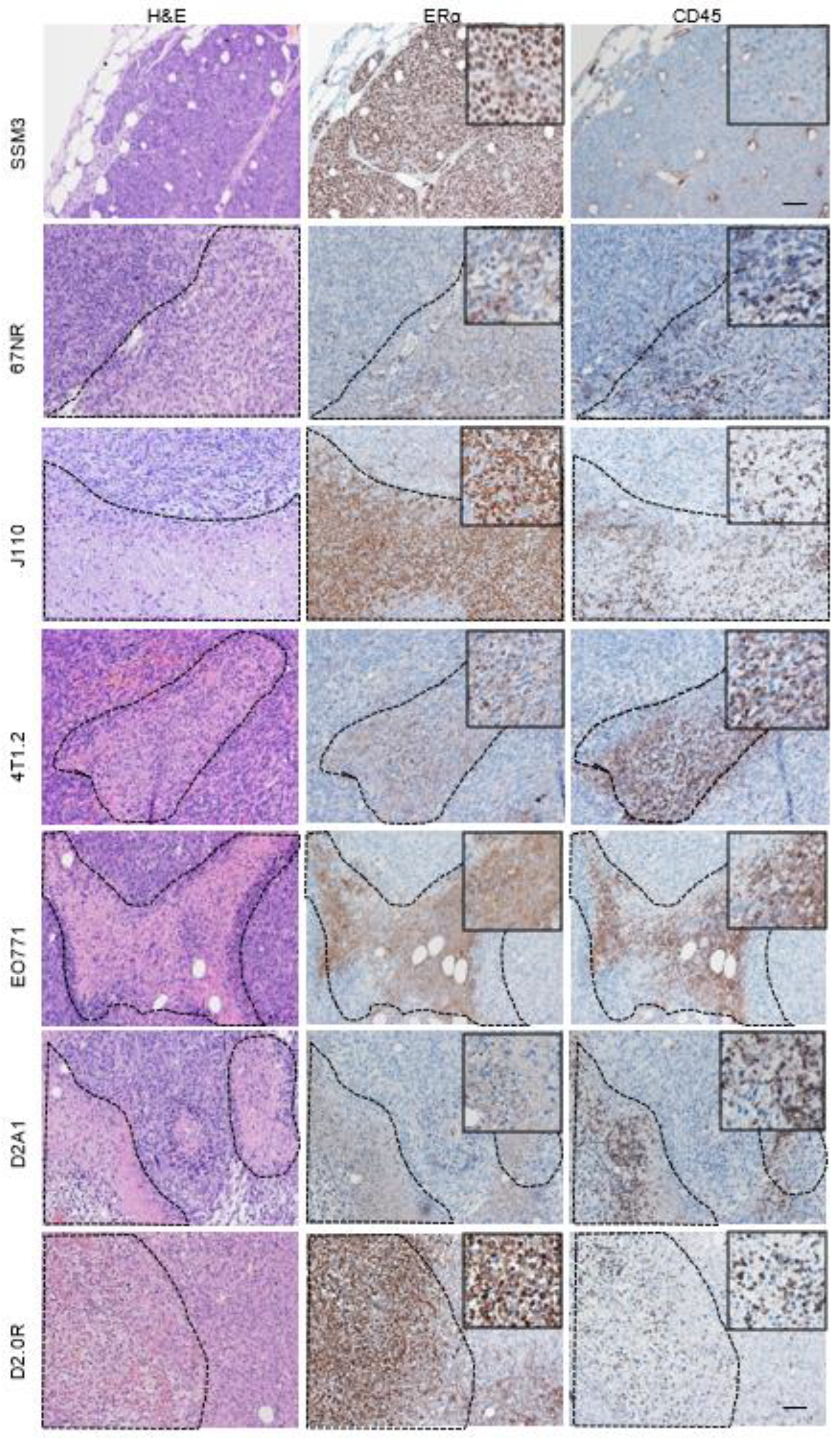 Ijms 24 05666 g002 Ijms 24 05666 g002