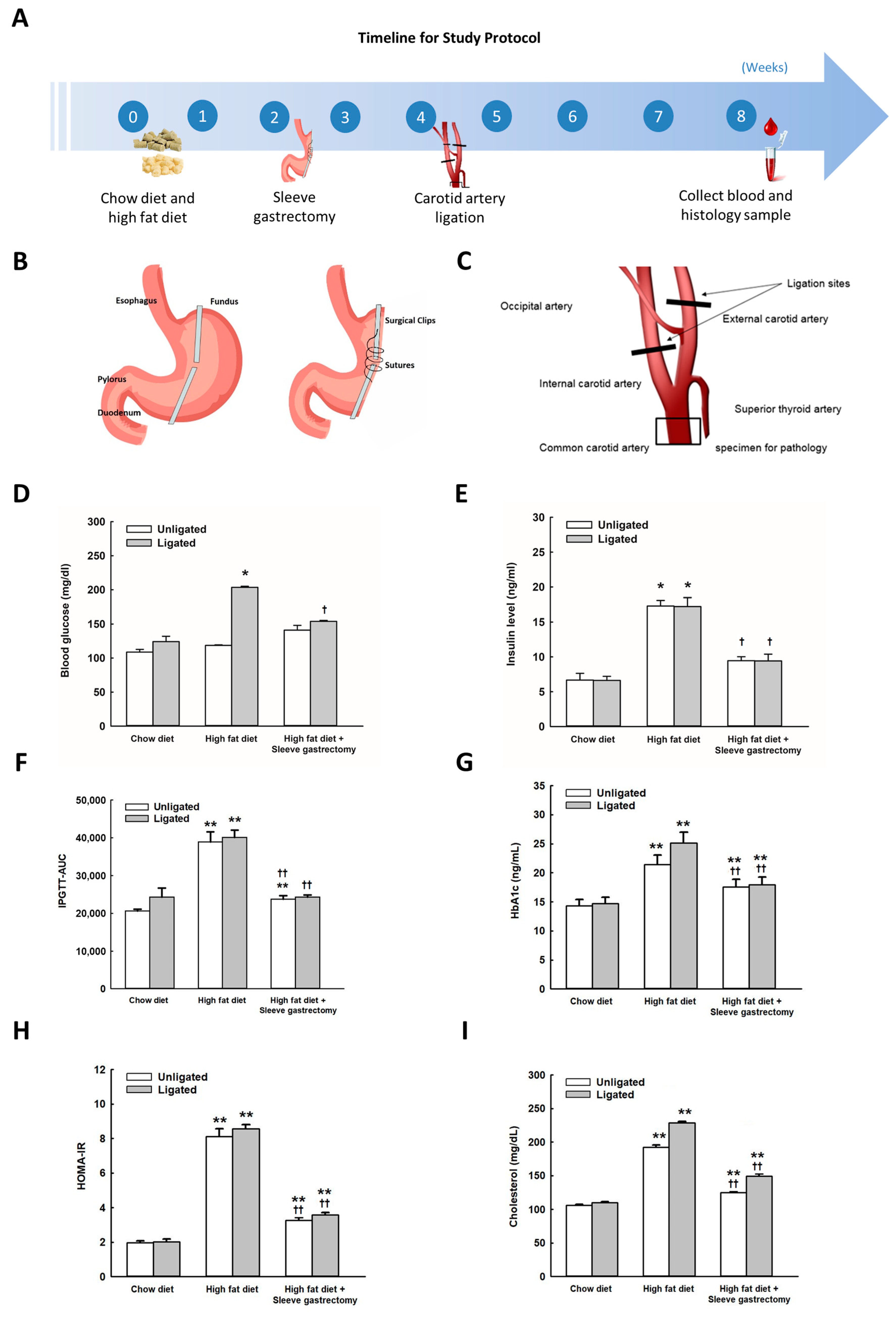 Ijms 24 05669 g001 Ijms 24 05669 g001