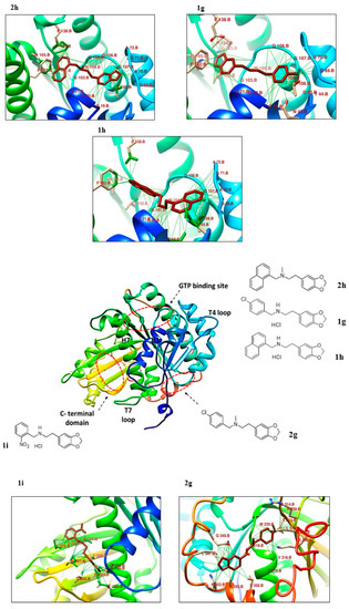 ピーピー A Comparative Study of the Inhibitory Action of Berberine