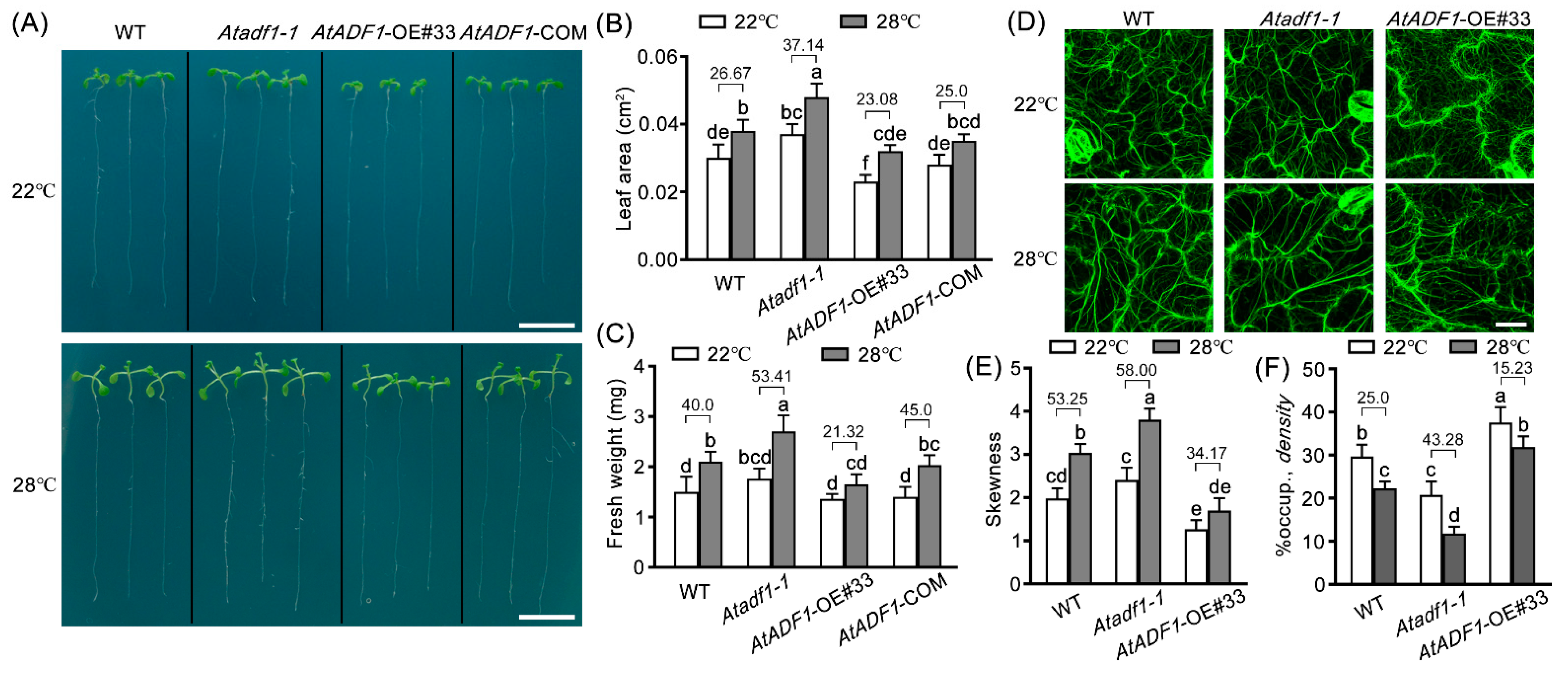 Ijms 24 05675 g002 Ijms 24 05675 g002