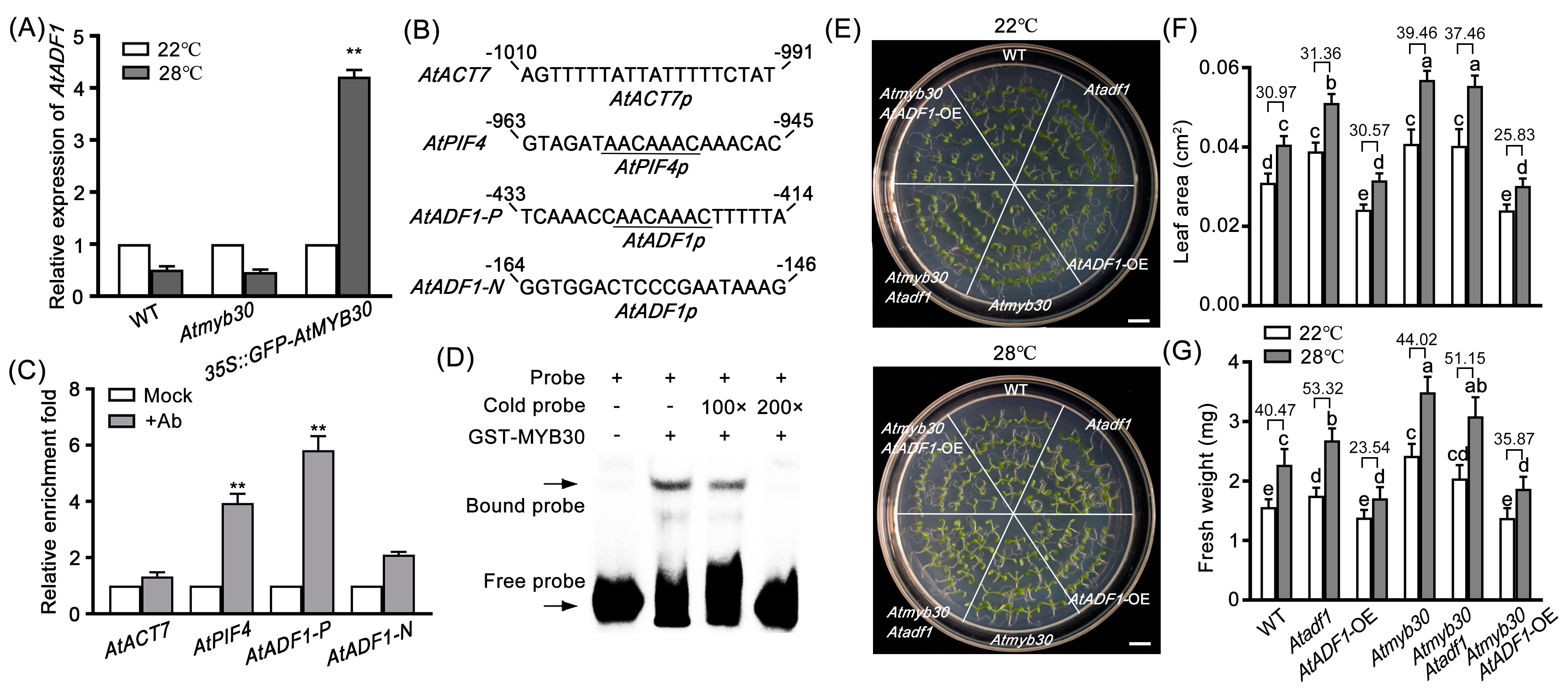 Ijms 24 05675 g003 Ijms 24 05675 g003