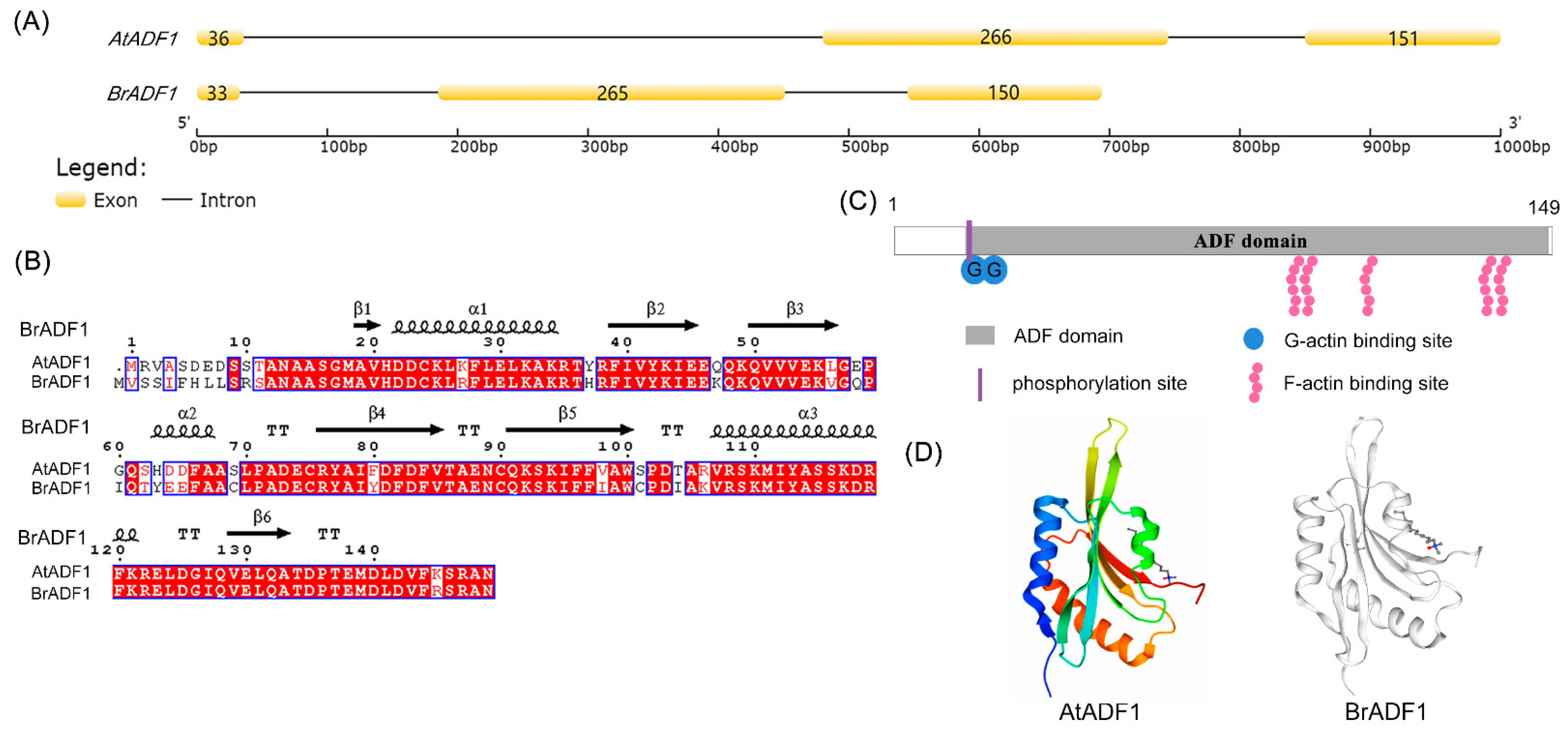 Ijms 24 05675 g004 Ijms 24 05675 g004