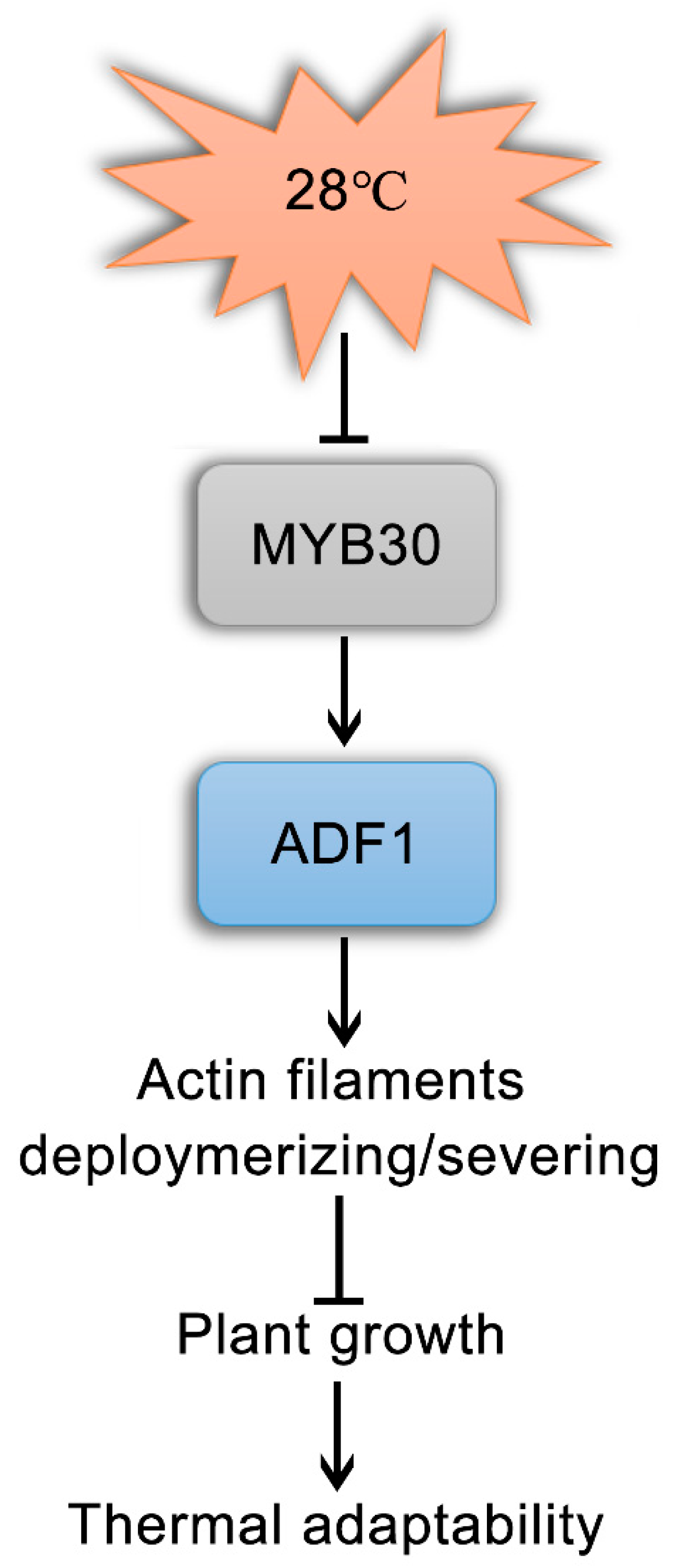 Ijms 24 05675 g006 Ijms 24 05675 g006