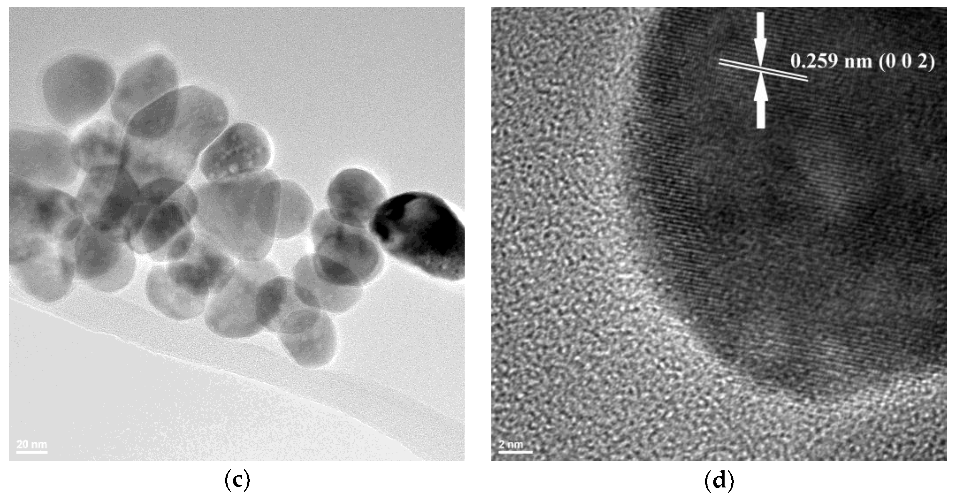 Ijms 24 05677 g004b Ijms 24 05677 g004b