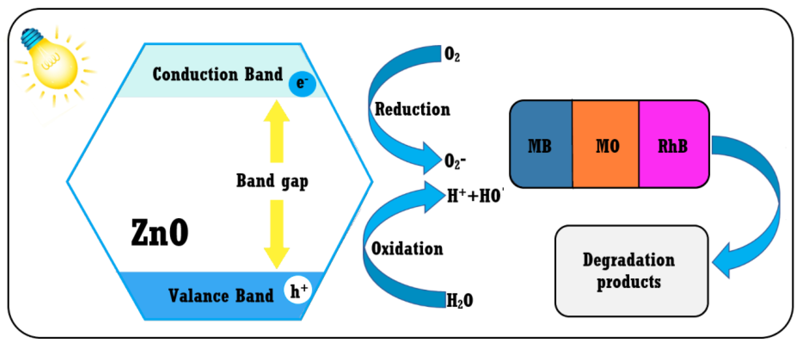 Ijms 24 05677 g011 Ijms 24 05677 g011